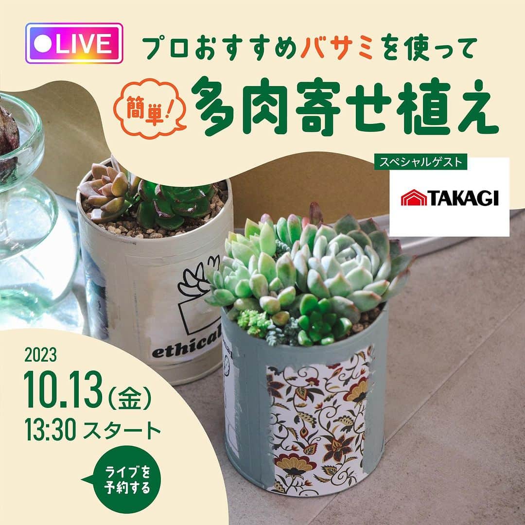 みどりで、つながる GreenSnapのインスタグラム：「【10月13日（金）インスタライブ開催！】 多肉植物に使いやすいハサミを使って多肉植物の寄せ植えを実演！ 燕三条刃物メーカー「髙儀」さんにハサミをご提供いただき、一緒に配信いたします🌿  ぜひご覧ください！」