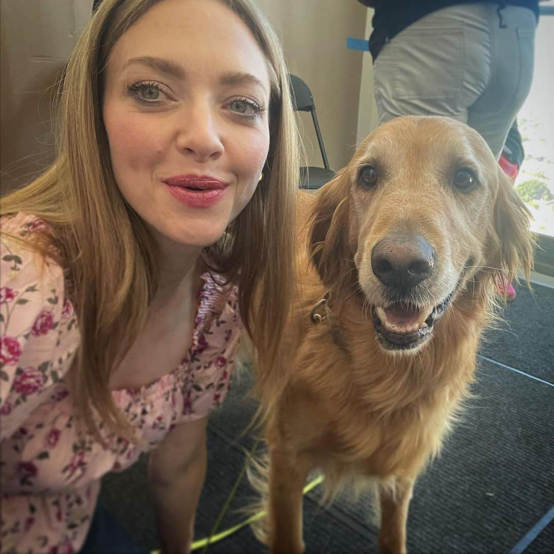 アマンダ・サイフリッドのインスタグラム：「My old friend Enzo came to visit 🐾」