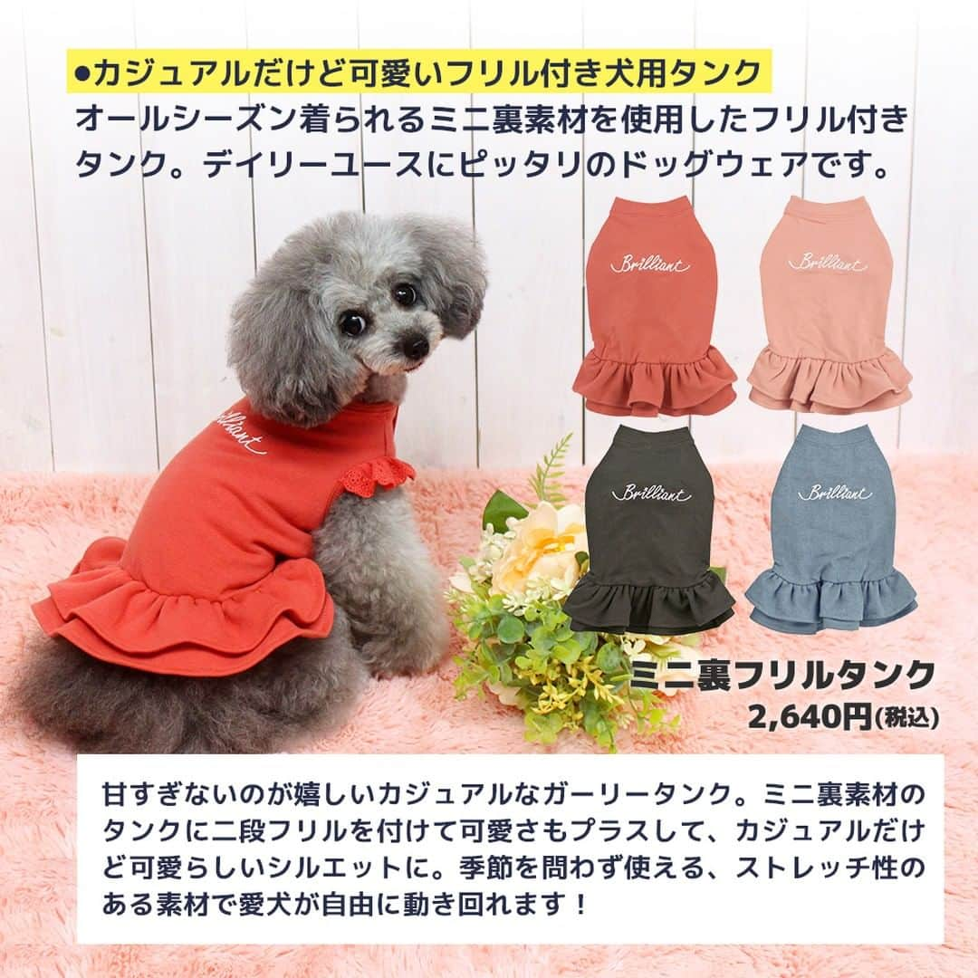 iDog&iCatさんのインスタグラム写真 - (iDog&iCatInstagram)「愛犬との暮らしをもっと楽しく快適に！ IDOG&ICATのお役立ちコラム随時更新中です♪  急な冷え込みとともに、秋の訪れを感じますね。 本日は春だけでなく秋にも注意したい【花粉症】に関しての記事をお届け！  【犬も花粉症になるってほんと？症状と対策を徹底解説・おすすめのグッズも】  人間と同じように、愛犬も花粉症になる？！ 犬の花粉症の症状とは？ ペットのアレルギーの原因は花粉かも？ 花粉症になったときの対処法はある？  この記事では、そんな疑問を解決！  IDOG&ICATでは花粉シーズンにオススメな綿・ポリエステル素材のドッグウェアもご用意しております。 是非、ワンちゃんとの暮らしにご利用ください♪  ●保存しておけばいつでも見返せて便利です♪  より詳しい内容はIDOG&ICAT公式サイトからご覧いただけます！ https://www.idog.jp/blog/2023/03/29/kafun/ 💡ストーリーやハイライトからもご覧いただけます！  #iDog #IDOGICAT #iCat #犬の服 #犬服 #ペットウェア #犬の服iDog #犬 #うちの子優勝 #わんすたぐらむ #dog #チワワ #トイプードル #ミニチュアダックス #柴犬 #ペット用品 #犬との暮らし #花粉 #花粉症 #花粉症対策 #秋の散歩 #IDOGICATお役立ちコラム」10月6日 11時48分 - idogicat