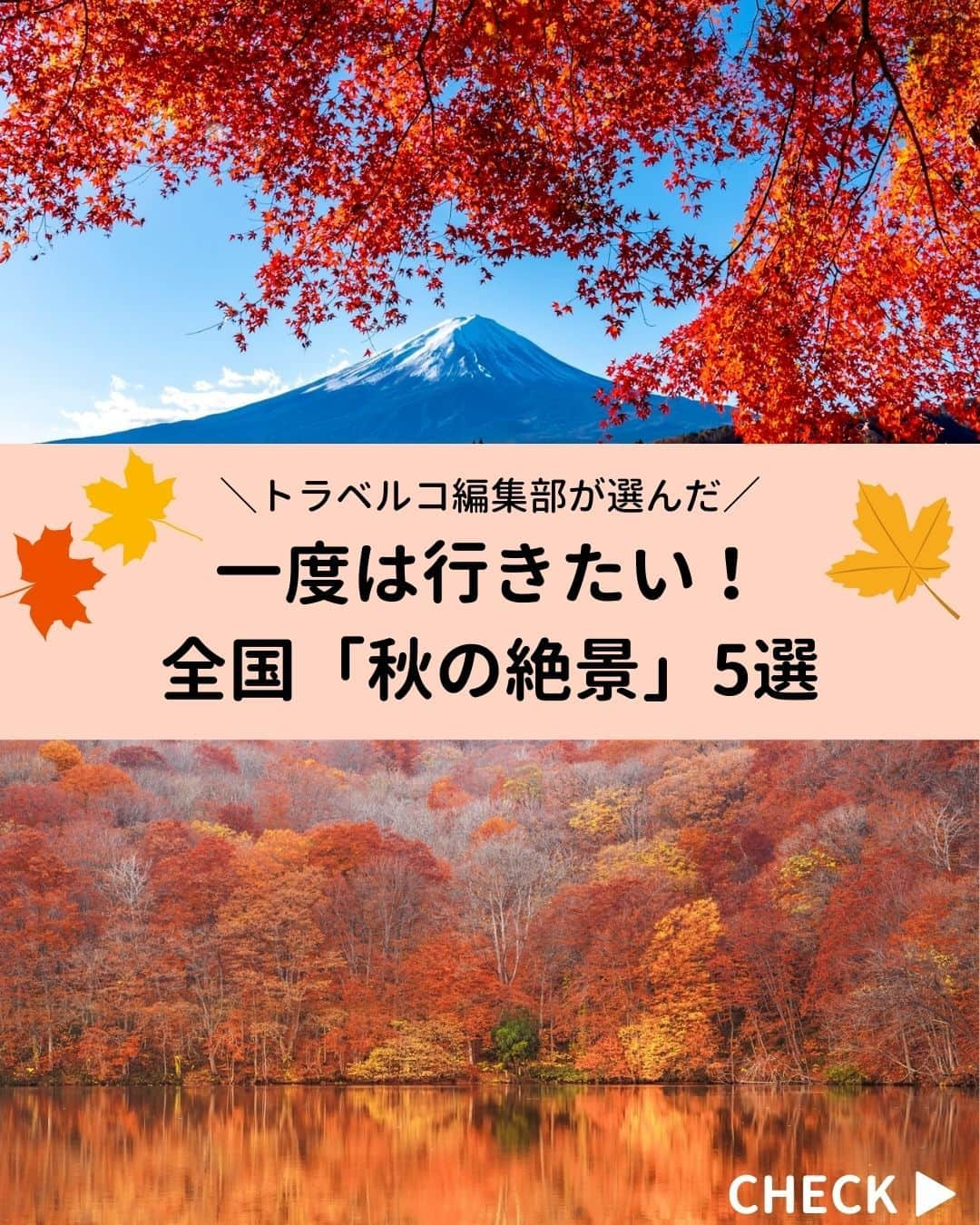 旅行比較サイト・トラベルコ 理想の旅を、いちばん安く。のインスタグラム：「燃えるような紅葉や、幻想的なライトアップが見られる、秋の景勝地をピックアップ！ 「いつか行きたい」と思っている名所に出かけませんか🍁 保存してお出かけの参考にしてくださいね✨  #蔦沼 ｜青森県十和田市 #奥入瀬渓流 ｜青森県十和田市 #国営ひたち海浜公園 ｜茨城県ひたちなか市 #河口湖もみじ回廊 ｜山梨県富士河口湖町 #黒部峡谷 ｜富山県黒部市  ※最新情報は各公式サイトにてご確認ください  ＝＝＝＝＝＝＝＝＝＝＝＝＝＝＝＝＝ 記事は以下URLまたはストーリーズからチェック！  日本の絶景スポットおすすめ50選 ～人生一度は訪れたい日本の美風景～ https://www.tour.ne.jp/matome/articles/j814/  【全国版】紅葉名所2023｜見頃やライトアップ情報をチェックしてもみじ狩りへ！ https://www.tour.ne.jp/matome/articles/kouyou/ ＝＝＝＝＝＝＝＝＝＝＝＝＝＝＝＝＝＝  ***** あなたが旅先で出合った素敵な風景に #トラベルコ または #travelko をつけて投稿してみてください📷 こちらのアカウントで紹介させていただくかも！  投稿を見て「行きたい！」と思ったら保存でクリップ。 フォロー＆いいねもお願いします🌟  ***** 国内海外1500以上の旅行サイトをまとめて比較！ 旅行の最安値を探すなら「トラベルコ」  プロフィール欄のURLから早速検索🔍 @travelko_official  #紅葉  #紅葉狩り #紅葉スポット #紅葉ライトアップ  #国内旅行 #japantrip #japantravel #フォトジェニック #ファインダー越しの私の世界 #誰かに見せたい景色 #旅行好きな人と繋がりたい #写真好きな人と繋がりたい #女子旅 #一人旅 #旅行好き #旅行 #観光 #travelko #トラベルコ」