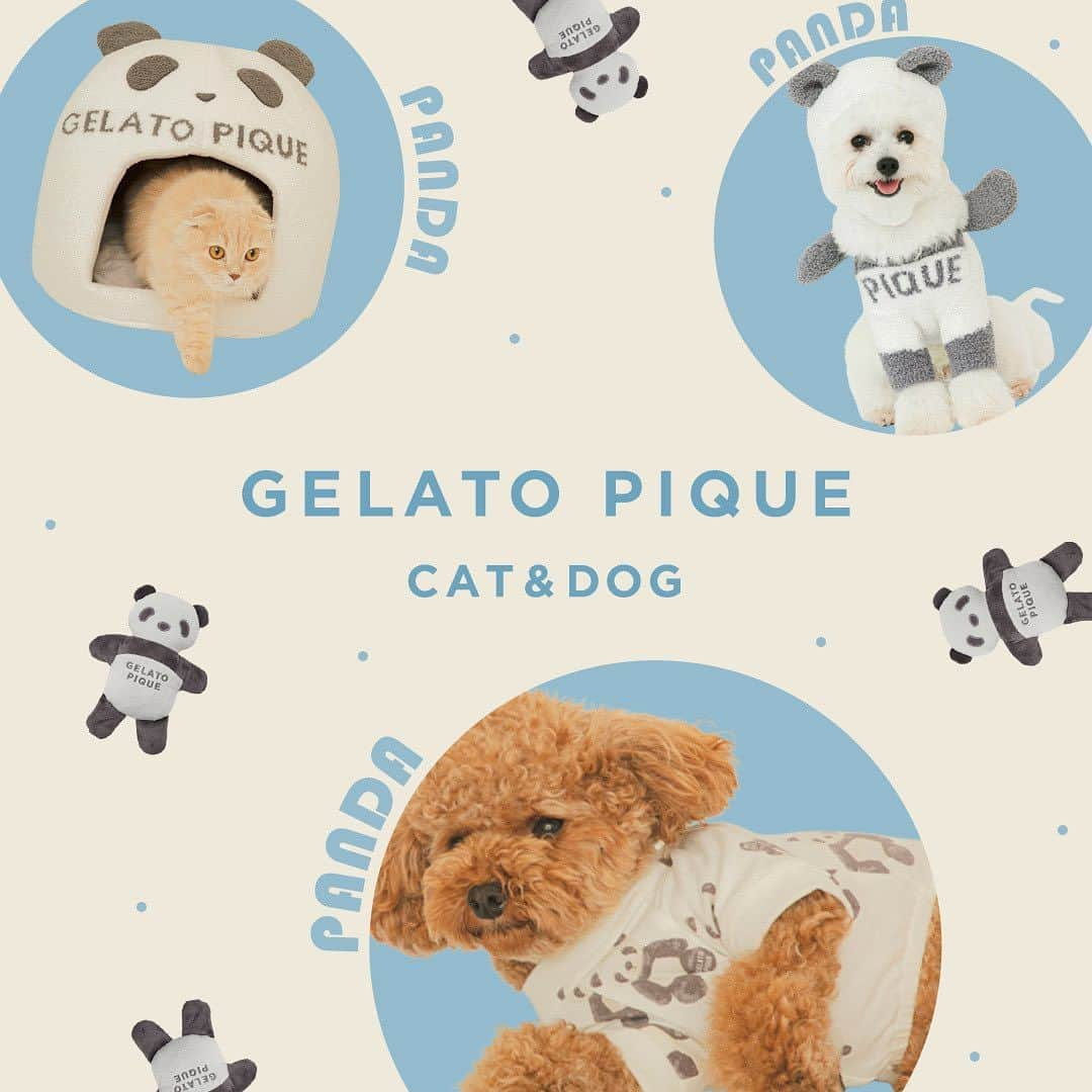 Caluluさんのインスタグラム写真 - (CaluluInstagram)「GELATO PIQUEよりパンダシリーズが新登場🐼  おもしろ・かわいいハロウィン🎃にぴったりのウェアを展開🐶  また、パンダハウスやおもちゃ、ブランケットなどのアイテムも✨  パンダシリーズで揃えてお楽しみください💞  ぜひチェックしてくださいね🐾  -----------------------------  Caluluオンラインショップ ▼プロフィールのlitlinkよりアクセス🐼 @calulu_dogwear  -----------------------------  #calulu #caluludogwear #カルル #カルルドッグウェア #きょうのわんこ #癒しわんこ #わんこ部　#いぬすたぐらむ #犬のいる生活 #おしゃれわんこ #いぬのいる暮らし #お出かけわんこ #お出かけわんこ部 #いぬとの暮らし #カルルわんこの会 #カルルにゃんこの会 #ねこのいる生活  #ねこすたぐらむ #ねこ部 #ペット用品 #ペットグッズ #ペットアイテム #gelatopique #ジェラートピケ #ジェラピケ #なりきりウェア #パンダグッズ #パンダ #ハロウィン #ハロウィン🎃」10月6日 11時55分 - calulu_dogwear