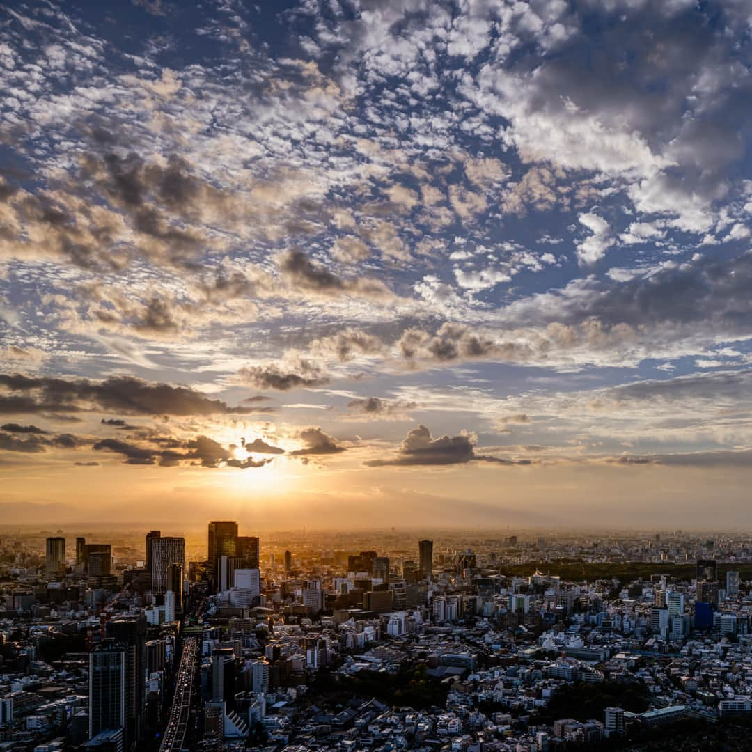 Tokyo City View 六本木ヒルズ展望台のインスタグラム：「六本木ヒルズ周辺は随分涼しくなり、秋めいてまいりました🍂 空一面に広がるいわし雲を眺めて秋の訪れるを感じることも。 秋の夕べは東京シティビューでゆっくり過ごしませんか。  東京シティビュー（六本木ヒルズ森タワー52F） https://tcv.roppongihills.com/  撮影：荒谷良一  #六本木ヒルズ展望台 #東京シティビュー #展望台 #夕景 #いわし雲 #絶景 #景色 #荒谷良一 #RoppongiHillsObservation #TokyoCityView #TCV #Tokyo #sunset #japantravel #tokyo #roppongi #RyoichiAratani #travelgram #japantrip #japan_daytime_view #japan_of_insta #bestjapanpics #tokyomuseum #artoftheday」