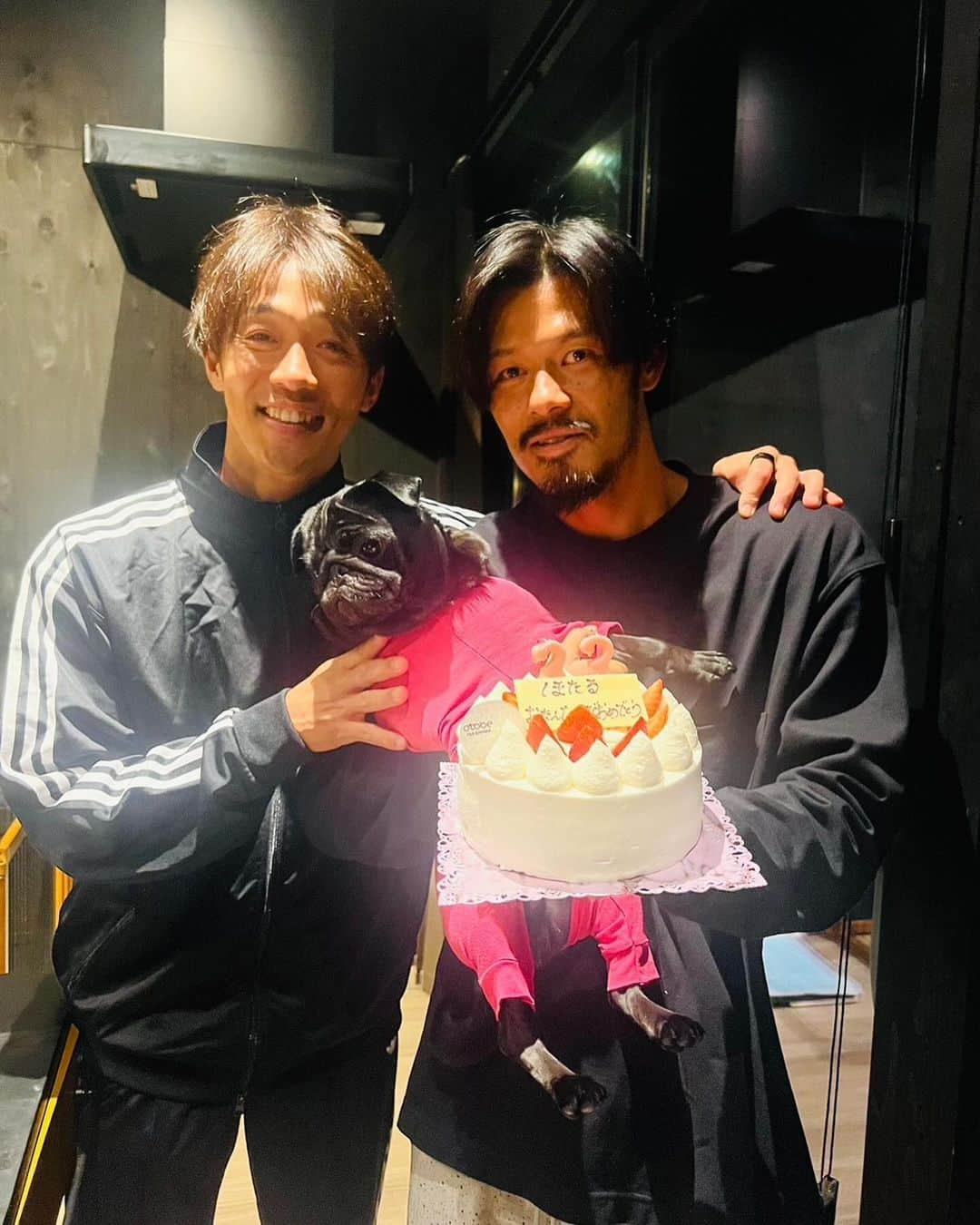 山口蛍さんのインスタグラム写真 - (山口蛍Instagram)「少し早めの誕生日を大好きな家族に祝ってもらいました😊  鰻食べて、BBQして、花火して、夏休みみたいな事して楽しかったなー🥺‼️  クロも子供達にたくさん遊んでもらって爆睡だったね🐶  ありがとう清武家🙇‍♂️  #山口家 #清武家 #グランピング #BBQ #花火 #クロ」10月6日 12時36分 - hotaru10_official