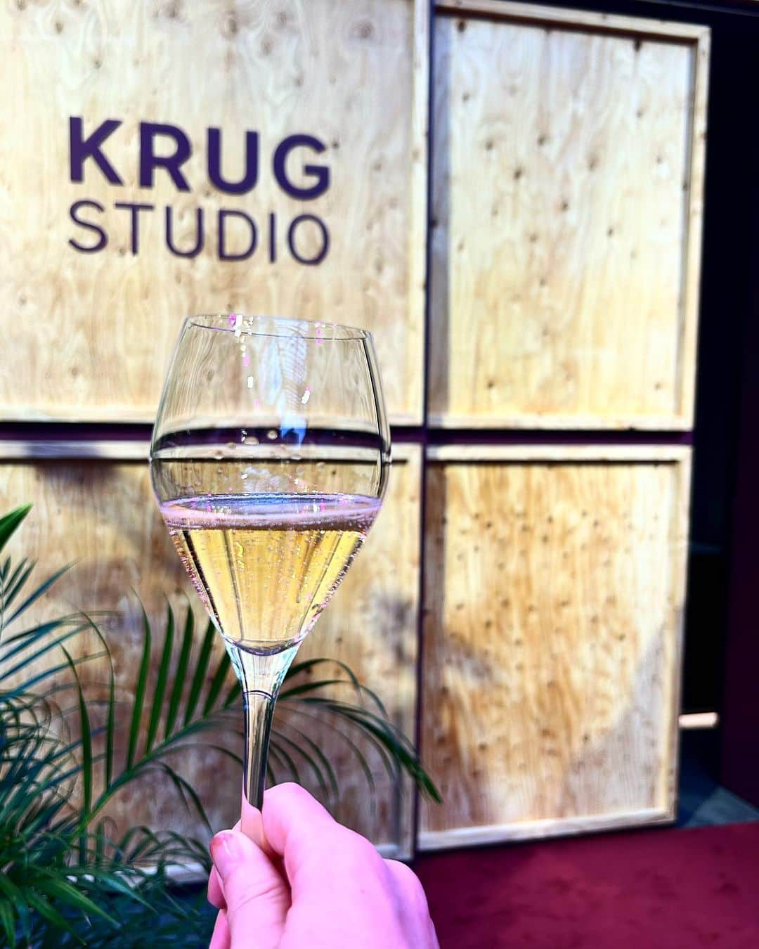 INSIDE FUJINGAHOのインスタグラム：「【「KRUG STUDIO」開催中 】1843年の創業以来、6世代にわたり伝統の製法を忠実に守り続けきた世界最高峰シャンパーニュ・メゾン「クリュッグ」。  創業以来、「耳に響く音色と舌で感じる味わいは共鳴する」と考え、音楽とのつながりを大事にしてきたクリュッグがは、現在、シャンパーニュと音楽とのミュージックペアリングを堪能できる没入型サウンド体験ポップアップイベント「KRUG STUDIO」を、六本木ヒルズの大屋根プラザで開催中です！～10月9日（月・祝）／要予約。  今年の「KRUG STUDIO」の楽曲は、世界から集まった5名のクリュッグラヴァーが書き下ろした特別なもの。  その5名とは、日本人ヴァイオリニストの宮本笑里さんはじめ、歌手でマルチ楽器奏者のカズ・マキノさん、イギリス人ドラマーのモーゼス・ボイドさん、アメリカ人ハープ奏者のメアリー・ラティモアさん、そしてフランス人作曲家でエレクトロニック音楽アーティストであるジュリー・カヴィルさんと、音楽ジャンルも人種も多様なクリュッグラヴァーたち。  彼女らは、メゾンに招かれ、クリュッグのセラーマスターであるジュリー・カヴィルとテイスティングを重ね、互いの技術や感覚を共有しながら音を紡ぎ、「クリュッグ グランド・キュヴェ 171 エディション」と「クリュッグ ロゼ 27 エディション」のための特別な楽曲を完成させたそうです。  まるで小編成のオーケストラのように、それぞれのアーティストの技巧と感性が調和し、クリュッグのシャンパーニュのごとく何層にも響き合います。クリュッグの特徴や世界観を繊細に表現されていることにも感動……なんて、エレガントな趣向なんでしょう！  10月中旬より、この極上のミュージックペアリングを自宅で体験できる「クリュッグ エコーズ 限定ギフトボックス」が数量限定で発売されます。  耳を澄ますと、舌も敏感になるという、不思議な体験をぜひ！（編集N）  写真1） 六本木ヒルズの大屋根プラザに設置された「KRUG STUDIO」。  写真2） 12年間の異なる年の131種類のワインをブレンドしてできたエディション「クリュッグ グランド・キュヴェ 171 エディション」  写真3） リュッグのワイン畑の風景が広がる「KRUG STUDIO」の。  写真4） クリュッグのブランドカラーであるダークチェリーのカラーを基調にした「KRUG STUDIO」会場のラウンジ。  写真5） ボックスに音符があしらわれた「クリュッグ エコーズ 限定ギフトボックス」クリュッグ グランド・キュヴェ 171 エディションは特別なギフトにも。  ●「KRUG STUDIO」 特設サイトから予約してお出掛けください。https://jp.krug.com/ 日時：～10月9日（月・祝）13時～21時 場所：六本木ヒルズ 大屋根プラザ 没入型サウンドスタジオで、「クリュッグ グランド・キュヴェ 171 エディション」または「クリュッグ ロゼ 27 エディション」1杯のテイスティングとともに、約10分間のポップアップブースでのミュージックペアリングを体験した後、会場のラウンジでおくつろぎいただけます。 料金：「クリュッグ グランド・キュヴェ 171 エディション」7,000円、「クリュッグ ロゼ 27 エディション」10,000円  #クリュッグ #KRUG #シャンパーニュ #KRUGSTUDIO #クリュッグスタジオ #KRUGECHOES #クリュッググランド・キュヴェ171エディション #クリュッグロゼ27エディション #宮本笑里 #婦人画報 #fujingaho」