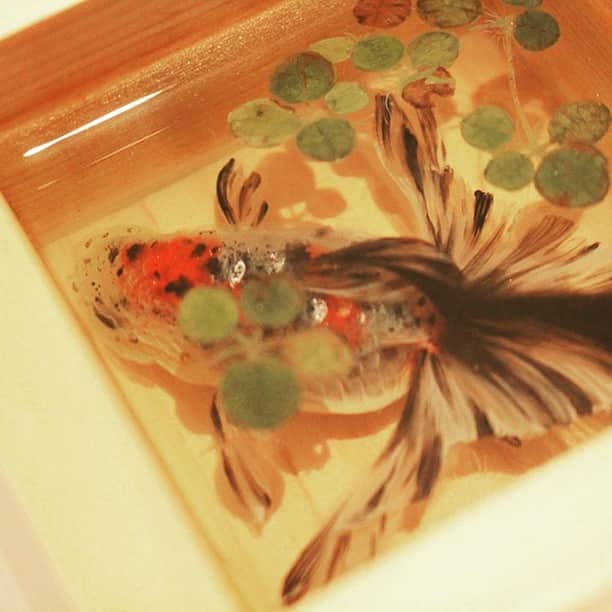 poroco（ポロコ）さんのインスタグラム写真 - (poroco（ポロコ）Instagram)「写実的な水面の世界「深堀隆介展」 開催中！  金魚に魅せられた美術作家・深掘隆介さんの大規模展覧会「深堀隆介展」 が、札幌芸術の森美術館にて11月23日まで開催中です。  透明樹脂にアクリル絵具を用いて、何層にも重ねて書く「2.5Dペインティング」と言われる斬新な技法を確立させ、リアルな立体感のある金魚がまるで泳いでいるかのように描かれている作品が並んでいます。  上から見ても、斜めから見ても、泳ぐ姿の金魚、8.5センチ角の小さな酒桝の中に表現される「金魚酒」シリーズ、金魚をモチーフとした、優美なアートなど見ごたえたっぷりな内容。  札幌会場で手が加えられた、最新のインスタレーションも設置されています。  本展初公開とされる新作「方丈ノ夢」。昔懐かしい四畳半の和空間が、作品の舞台に。ここでは、水面を上から覗くだけでなく、水（樹脂）が器にとどまらず独立して置いてあり、金魚が縦横無尽に泳ぎ回っている姿を見ることができます。  よくよく見ると、何層にも描かれた金魚が・・・真横から見ても立体に！不思議！  今回は初期作品から展示していて、20年以上に渡る制作の原点回帰にもなっているそう。 ぜひ、一度足を運んでみてください。  「深掘隆介展」  11月23日（木・祝）まで開催中  ※11/6、11/13、11/20を除く  会場／札幌芸術の森美術館  時間／9：45～17：00（入館が閉館30分前まで）  料金／1500円、高大生1100円、小中学生700円  https;//www.fukahori-exhibit.jp/  #札幌芸術の森美術館 #深掘隆介展 #金魚アート #現代アート #札幌 #写実的アート #アートめぐり #art #sapporo #hokkaido #poroco」10月6日 12時50分 - poroco_magazine