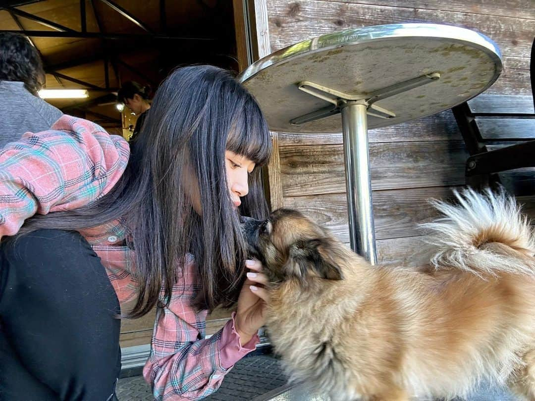 内藤好美さんのインスタグラム写真 - (内藤好美Instagram)「こはるたん🐶❤️  #action#actress#japan#japanese #karate#kyokushin#kyokushinkarate#blackbelt#アクション#アクション女優#空手#極真空手#黒帯#武打#動作片#動作演員#女演員#액션#가라테#액션영화#일본#karatekid#karatelife#karatê#karaté#karatetraining#karatelove#karategirl#karateka#streetfighter」10月6日 13時12分 - _ko._.no_