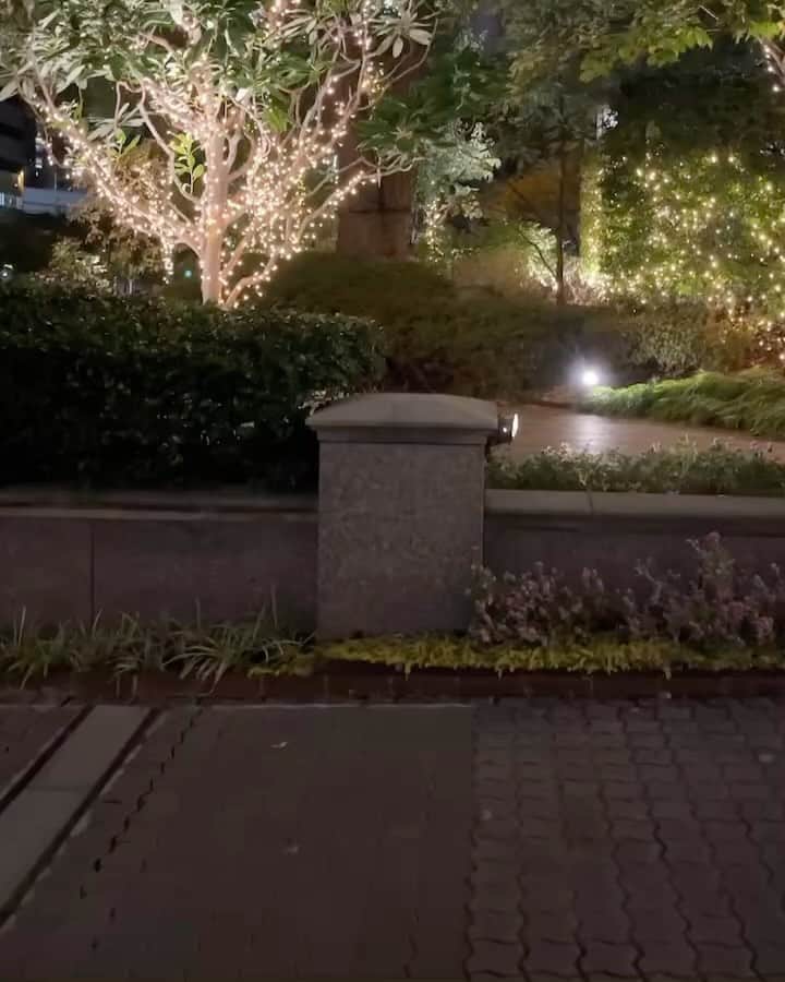 のインスタグラム：「MAMAMOO+ 1st fanconcert in JAPAN✌🏼 D-2🤭」