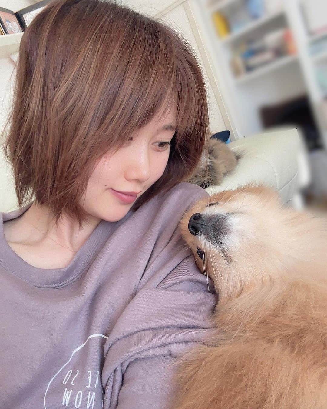 釘町みやびのインスタグラム：「🐶  実はとっても甘えんぼいっぬ！ ぽぽさん！  今日は特にべったりだったので写真撮っちゃいました☺️ 私は安定の寝癖マンですが…笑  ぽぽさんずっと見つめてくれてて癒されます💛💛  夏はサマーカットだったんだけど、 徐々に伸びつつ冬毛に生え変わってきてます。 まもなく冬ですね…！⛄️  今年、雪降るといいなあ⛄️❄️  (まだ秋なのに気が少し早いですね。笑)  (あと後ろにこっそりめめさんいてます🐈‍⬛)  ． ． #いぬすたぐらむ  #いぬのきもち  #犬  #犬のいる暮らし  #ポメラニアン  #ポメラニアンが世界一可愛い  #おうち時間  #まったりタイム  #仲良し犬  #dog  #doglover  #dogsofinstagram  #family」