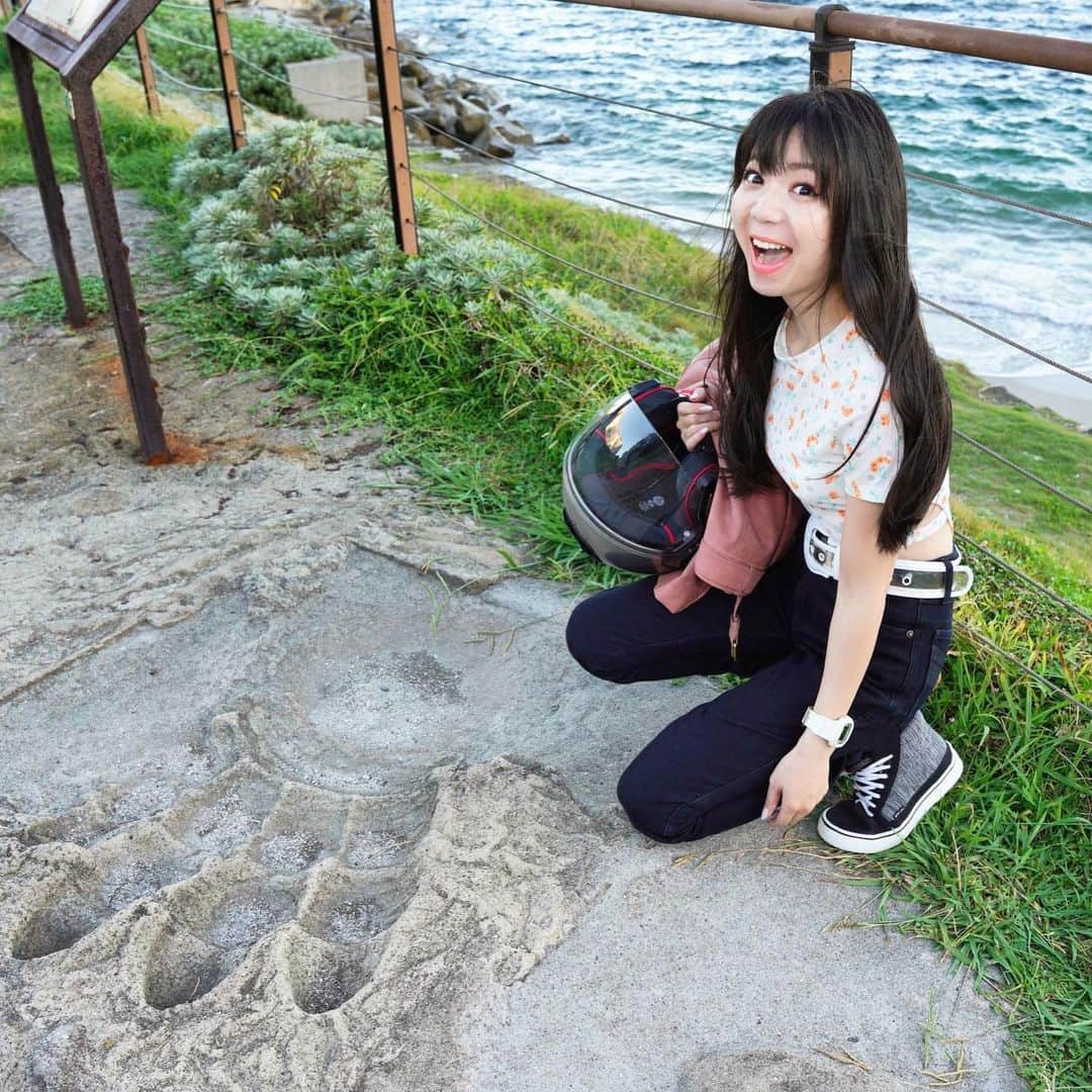 のインスタグラム：「. 三浦半島のゴジラの足跡を見てきたよ（なんか小っちゃ！1/10サイズ）  明日土曜日夜10時からのFacebook LIVE配信も   配信はこちらから https://www.facebook.com/chiparu125   どうぞよろしくお願いします✨😊 . . .」