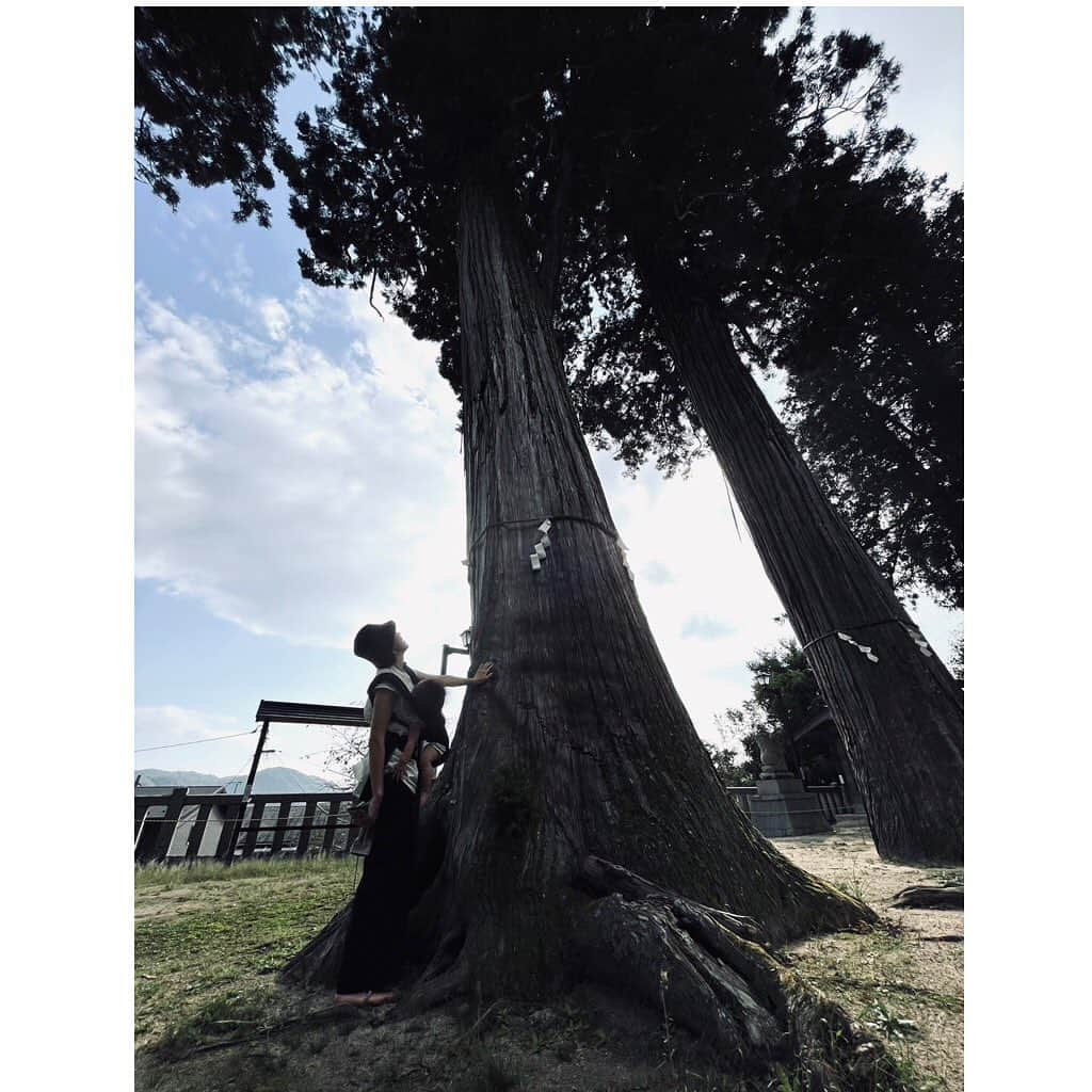 久保田夏菜のインスタグラム：「この前、 安芸高田市吉田町にある清神社に 初めて、行ってきました。  ここは、 今年入城500年となる毛利元就も祈願のために 訪れたと言われていて 安芸高田市の歴史ある場所の一つ。  敷地内に入ると 樹齢1000年を超えるという大木がどーんと出迎えてくれました。  名前の通り 清々しい風が吹く心地よい場所でした。  この時は、 毛利元就ファッションショーを企画した @collabobar_akitakata の @oisiisiotibetsalt の直子さんと @asecondcousin のみさちゃんと行ったのですが 2人は、 しっかり手を合わせて ファッションショーが無事に終わったお礼をしてました。  そんな清神社で 明日、 @asecondcousin が奉納ライブをするみたい。  毎月1日参りにも行っていて 子どものころから大切にしてる場所みたいなんだけど ここで歌うことが夢だったみたい。  心から、おめでとう。  この奉納ライブには #famtime にも出店してくれた @mk_skd さんも @smok1960 さんも 一緒に力を貸してくれるみたい。  会場には駆けつけられないからと ファッションショーのデザイナー @tenbo_official さんからは オリジナルの衣装が届いたんだとか。  みんな繋がってて嬉しいし すごいなと思うし これは 誰に対してもまっすぐむきあってる　@asecondcousin だからだと思う。  わたしは行けないのだけど ステキな夜になることを願ってます。  #安芸高田市　#清神社　#奉納ライブ　#セカズン　#毛利元就」