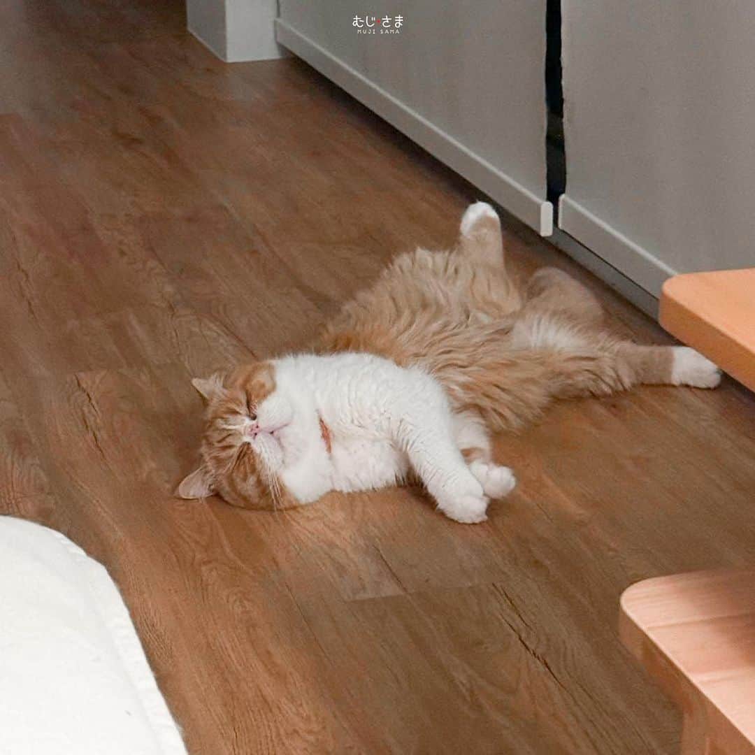 のインスタグラム：「กู๊ดไนท์ค้าบบบ 🤍🧡」