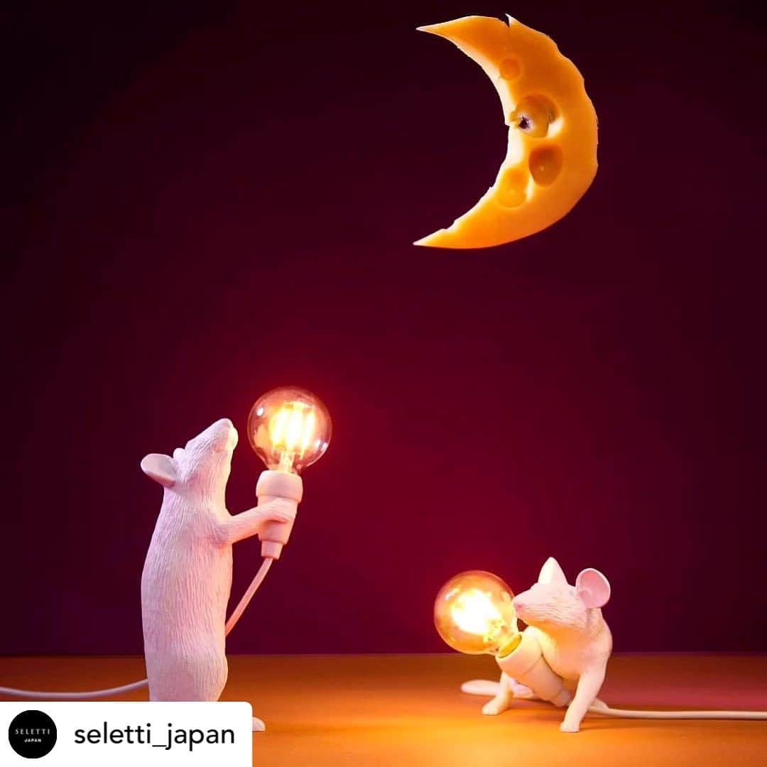 entre squareのインスタグラム：「@seletti_japan   おいしそうなお月様🌒…🧀 細かなデザインで忠実に再現されたマウスランプ。 盗んだライトを抱えながら、あなたのお部屋を明るく灯してくれます🐁  #マウスランプ #seletti  #セレッティ   #マウス #マウスランプ #ネズミ #ねずみ #小動物 #動物 #動物好き #動物好きな人と繋がりたい #デザインランプ #インテリア #インテリア小物 #インテリアコーデ #アート #デザイン #イタリア #イタリアデザイン #丁寧な暮らし #ていねいなくらし #ていねいな暮らし #個性的 #芸術 #インテリアコーディネート #インテリアを楽しむ #ランプ #ライト #電気 #usb」