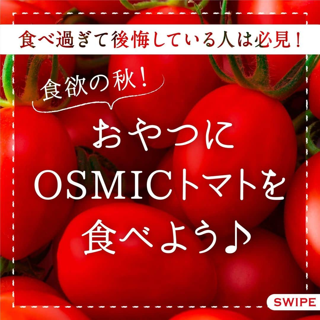 ＯＳＭＩＣ【オスミックトマト公式】のインスタグラム：「◀◁他の投稿も気になる方はプロフィールをチェック！  秋は美味しい旬の味覚がたくさんあり、ついつい食べ過ぎてしまっている方もいるのではないでしょうか？🤫  そんな時こそOSMICトマト🍅 高糖度で弾けるような食感のOSMICトマトは おやつや口寂しいときにもピッタリです✨  甘くて濃厚な味わいに満足すること間違いなし♬ ぜひ、こだわりぬいたフルーツトマトをお楽しみください💕  －－－－－－－－－－ OSMICトマト( @osmic_jp )の公式アカウント🍅  商品詳細・ご購入はこちらから！ https://osmicfirst.jp/c/fruitminitomato －－－－－－－－－－  #osmic #オスミック #osmicトマト #オスミックトマト #osmicfirst #オスミックファースト #トマト #フルーツミニトマト #フルーツトマト #フルーツトマト🍅 #ミニトマト #高級トマト #トマト好き #トマト大好き #トマト生活 #食欲の秋 #おやつタイム #間食 #間食ダイエット」