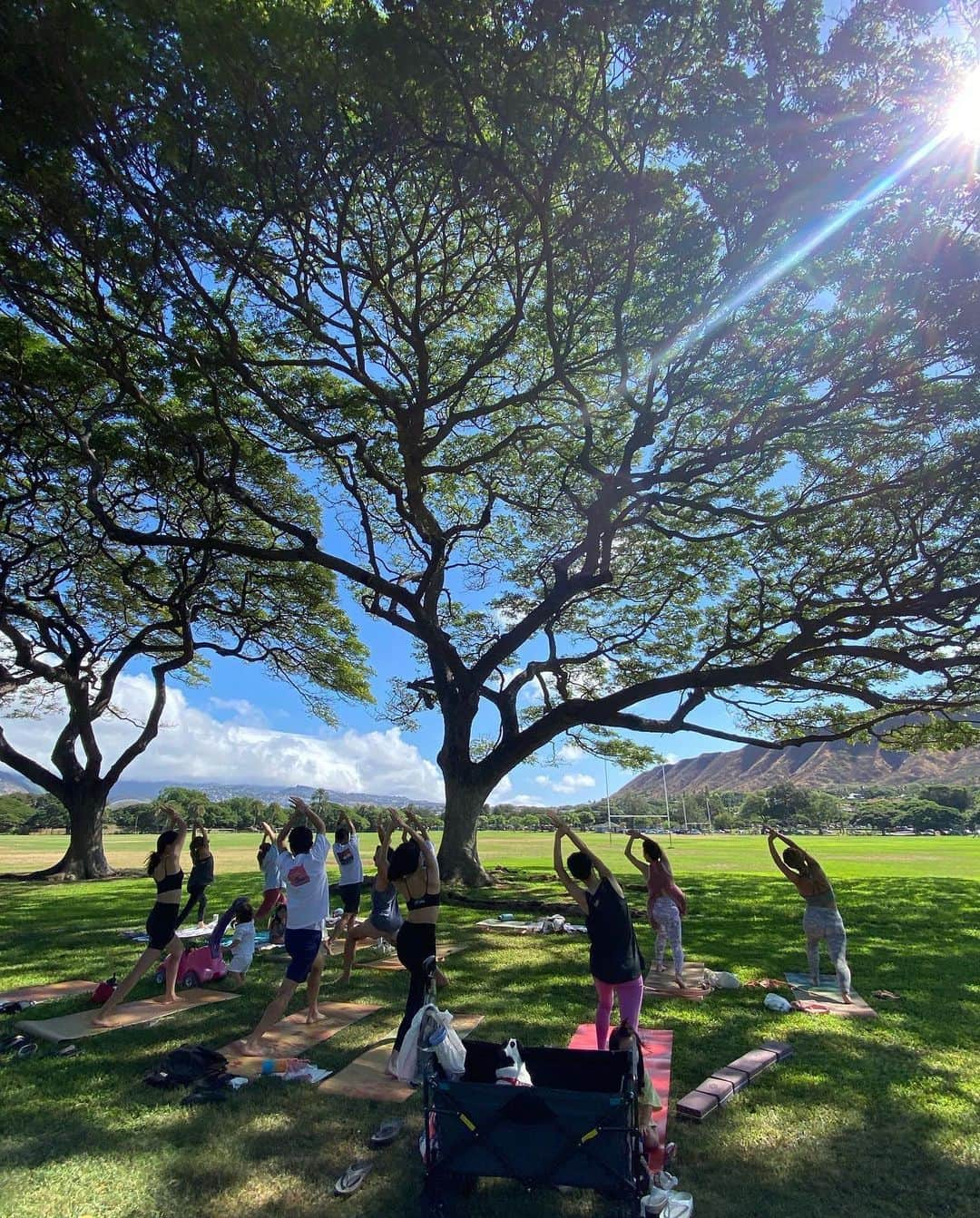 鮎河ナオミさんのインスタグラム写真 - (鮎河ナオミInstagram)「@mami_furutani 's Kapiolani Park Yoga class🌿  愛溢れる  @mami_furutani さんのカピオラニパークでのヨガ教室✨ ダイアモンドヘッドがドーンと見えるロケーションでのヨガは最高に気持ち良かった〜！  足の浮腫みを流すポーズや、足裏ほぐしをしたら、身体がどんどんほぐれていって、とっても軽くなりました。  ハワイの病院は寒いからレッグウォーマーが必要だよと、可愛いピンクのレッグウォーマー @slippahsocks と（写真4枚目）  鼻詰まりに効く @doterra の妊婦さんにもオッケーなアロマオイル（写真5枚目）をブレンドしてくれて、マミ先生がプレゼントしてくれました🥹🩷  マミ先生の優しさに感謝🥹🙏  #thankyou #39weeks #pregnancy #maternityyoga #マタニティ #マタニティヨガ #hawaii」10月6日 17時07分 - naomiayukawa