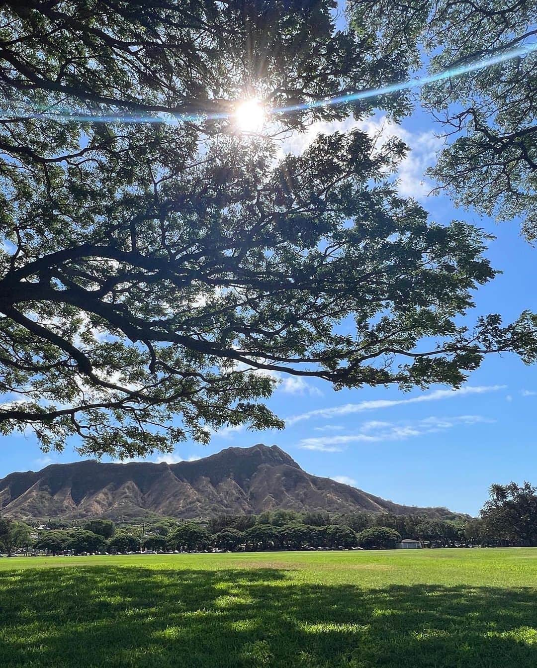 鮎河ナオミさんのインスタグラム写真 - (鮎河ナオミInstagram)「@mami_furutani 's Kapiolani Park Yoga class🌿  愛溢れる  @mami_furutani さんのカピオラニパークでのヨガ教室✨ ダイアモンドヘッドがドーンと見えるロケーションでのヨガは最高に気持ち良かった〜！  足の浮腫みを流すポーズや、足裏ほぐしをしたら、身体がどんどんほぐれていって、とっても軽くなりました。  ハワイの病院は寒いからレッグウォーマーが必要だよと、可愛いピンクのレッグウォーマー @slippahsocks と（写真4枚目）  鼻詰まりに効く @doterra の妊婦さんにもオッケーなアロマオイル（写真5枚目）をブレンドしてくれて、マミ先生がプレゼントしてくれました🥹🩷  マミ先生の優しさに感謝🥹🙏  #thankyou #39weeks #pregnancy #maternityyoga #マタニティ #マタニティヨガ #hawaii」10月6日 17時07分 - naomiayukawa