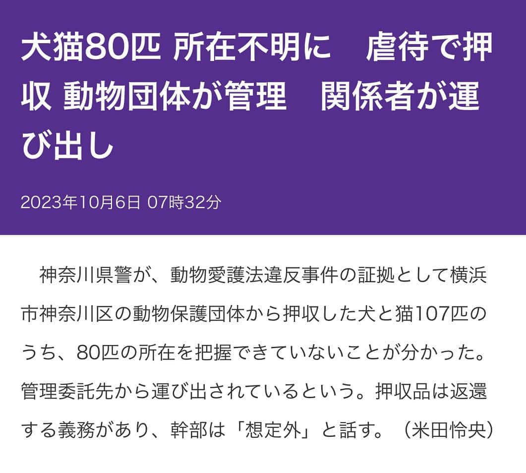 安藤志穂美さんのインスタグラム写真 - (安藤志穂美Instagram)「昨夜、ストーリーにて取り急ぎご報告致しましたが、 ⁡ 昨日から多くの記事やニュースで報道されております、 【押収したうち80匹が行方不明】につきまして。 ⁡ 状況の説明を求めるお問い合わせや、各所からの連絡対応にずっと追われており、 大変なご心配をおかけしてしまったこと、まずは心よりお詫び申し上げます。 ⁡ 昨日、東京新聞の記者の方からご連絡をいただき、 取材を受けた際に、問題となっている一部分をお伝え致しました。 ⁡ 現在、動物たちは一切の虐待を受ける事なく、目の届く範囲において穏やかに生活しております関係で、 それを少しでも壊されてしまうかもしれない可能性があるSNSにおいて、現在の犬と猫の様子をアップすることは賢明な判断ではないと考えております。 ⁡ 動物たちの幸せを願う気持ちは、私も皆様と同じ気持ちです。 ⁡ 拙い説明ですみませんが、どうかご理解の程よろしくお願い致します。 ⁡ ⁡ ※また、不服申し立て以降の告発業務、それに伴う事象について私は関与しておりません。 残されている所有権問題、それに付随する法改正に向けては最後まで責任を持って対応していきます。  今後に関しての情報提供等に関しましては、 引き続き、現告発人へ何卒よろしくお願い申し上げます。」10月6日 17時25分 - shiomi_ando