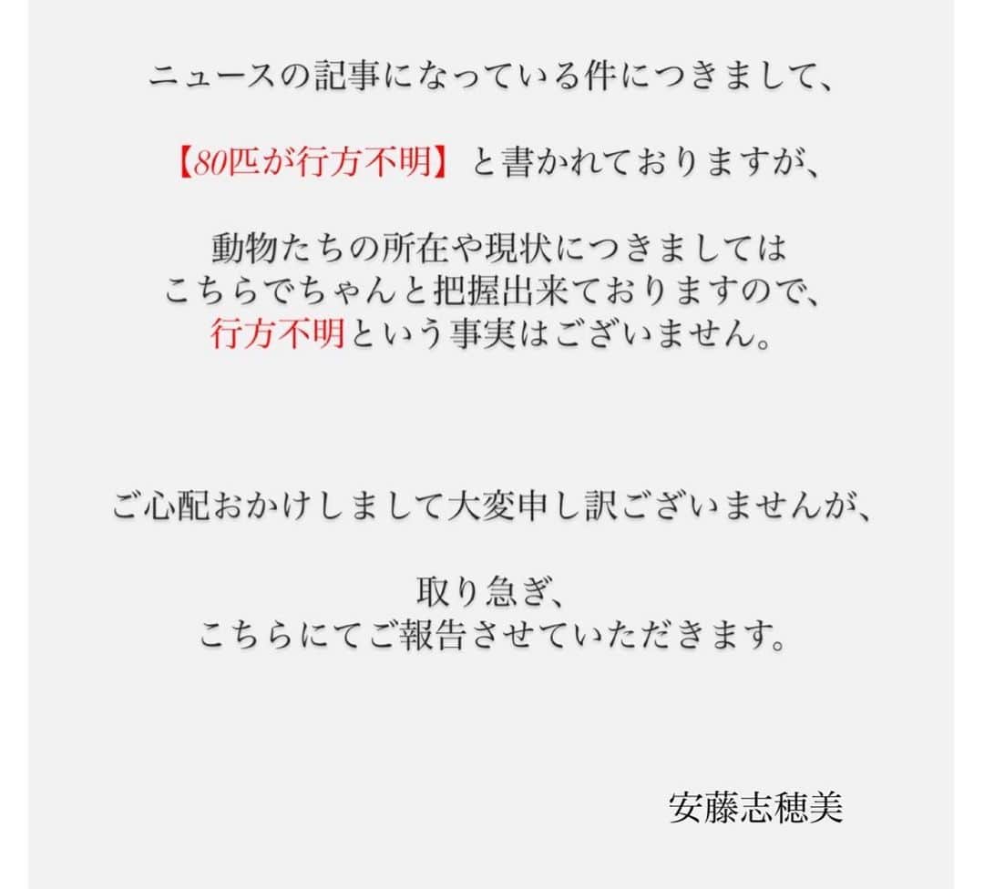 安藤志穂美のインスタグラム