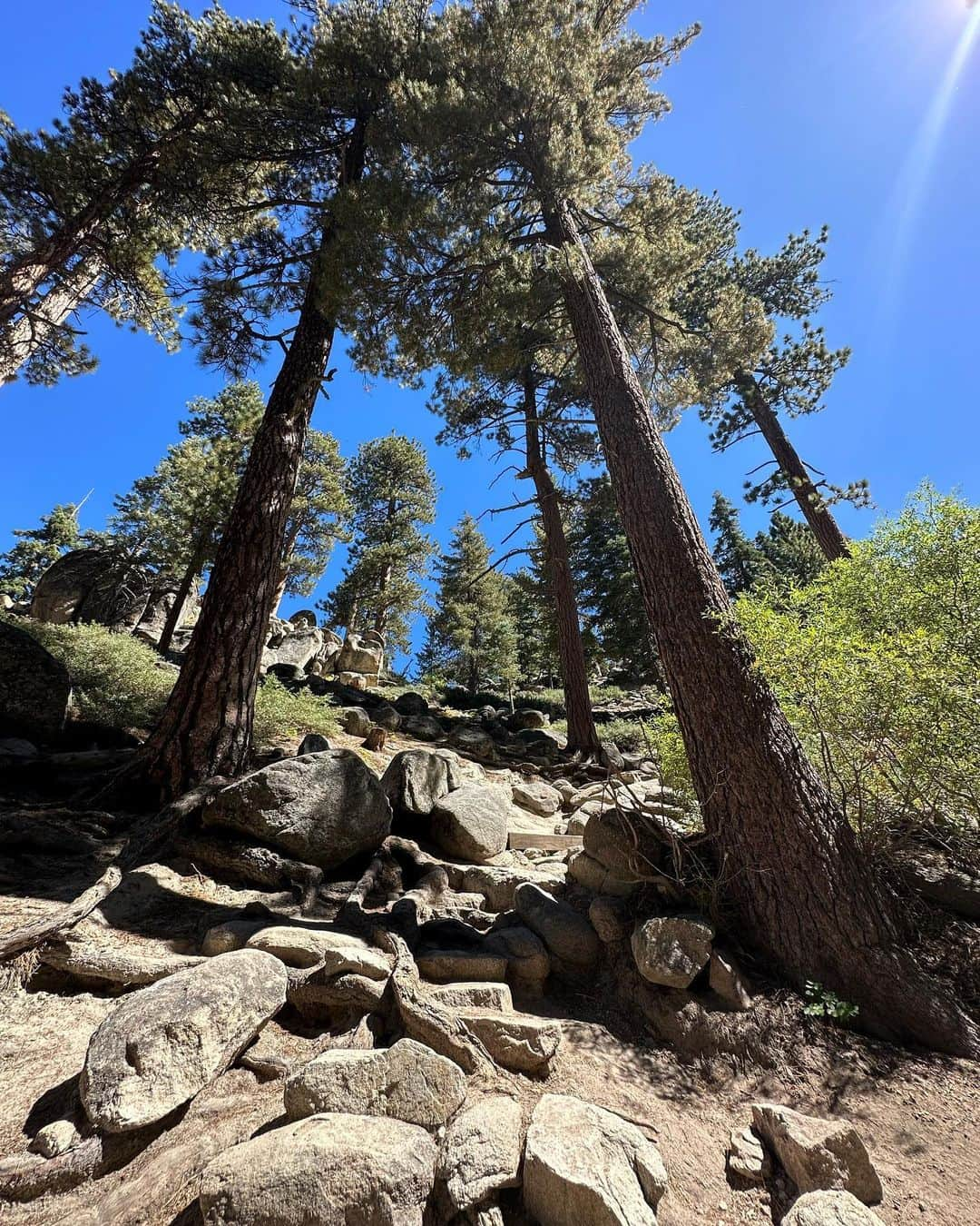 koyuさんのインスタグラム写真 - (koyuInstagram)「🐻🪵🌲🍃🌞🌅🌃🔥🐾🌊 . #america #la #losangeles #bigbear #bigbearlake #sun #sunrise #sunset #lakes #view #california」10月6日 17時42分 - koyu1215