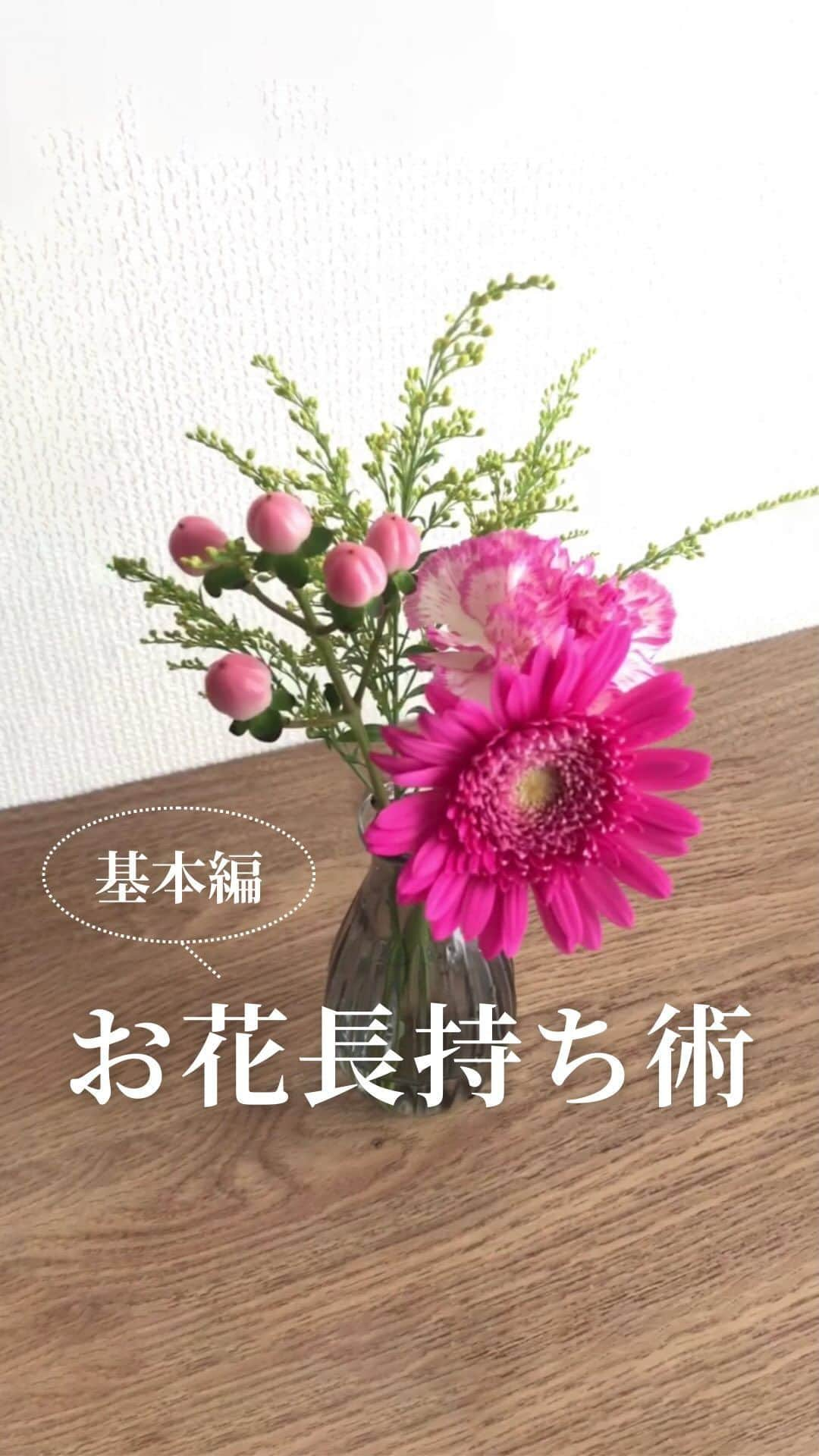 Bloomee LIFEのインスタグラム：「． お花を長持ちさせるコツ ‐基本編‐   ①余分な葉やつぼみを取り除く 葉やつぼみを取り除くと、お花に十分な 栄養が行き渡り長持ちします✨   目安は、茎の半分から下を取り除くと◎ ※すべて取ってしまうと、葉で光合成をすることができなくなってしまうので注意   ②花瓶の水の量に注意する 茎の下から3～5㎝の水量でOK！ 水に浸かりすぎると、茎が腐りやすくカビの原因に… ※紫陽花、枝物など吸い上げが悪いお花は花瓶たっぷりの水が◎   ぜひ2つのコツをおさえて、 お花を長く楽しんでくださいね🌷   ーーーーーーーーーーーーーーーー   お花が届いたら『 #ブルーミー 』 をつけて投稿してみてください📸   ほかの投稿は @bloomee でチェック👀🌹   #bloomee #お花の定期便 #お花のサブスク #花部 #花写真 #花を楽しむ #花が好き #花好きな人と繋がりたい  #お花のある暮らし #花のある生活 #花のある生活が好き #花を飾る  #暮らしを楽しむ #丁寧な暮らし #豊かな暮らし #インテリアフラワー #フラワーインテリア #ナチュラルインテリア #お花長持ち #お花の管理 #お花の管理方法 #水揚げ #水揚げ方法」