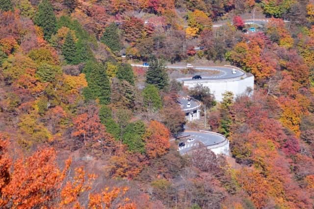 TOBU RAILWAY（東武鉄道）さんのインスタグラム写真 - (TOBU RAILWAY（東武鉄道）Instagram)「. . 📍Nikko - Irohazaka Autumn Leaves A famous sight for autumn leaves that is representative of Japan! . Irohazaka has been listed in the 100 Best Roads in Japan. Many people drive here from all over Japan during the annual autumn leaves season. Irohazaka has elevation differences of up to 400m. Being able to enjoy the gradually changing autumn leaves from the bottom of the hill to the top is one of its charms. The entire course is splendidly colored during the autumn leaves season, so you can even enjoy the expanding fallen leaves at the base of the mountain from inside your car. A perfect spot to visit during your Japan trip! Be sure to check out the beautiful fall leaves of Irohazaka! . . . . Please comment "💛" if you impressed from this post. Also saving posts is very convenient when you look again :) . . #visituslater #stayinspired #nexttripdestination . . #nikko #irohazaka #autumnleaves #recommend #japantrip #travelgram #tobujapantrip #unknownjapan #jp_gallery #visitjapan #japan_of_insta #art_of_japan #instatravel #japan #instagood #travel_japan #exoloretheworld #ig_japan #explorejapan #travelinjapan #beautifuldestinations #toburailway #japan_vacations」10月6日 18時00分 - tobu_japan_trip