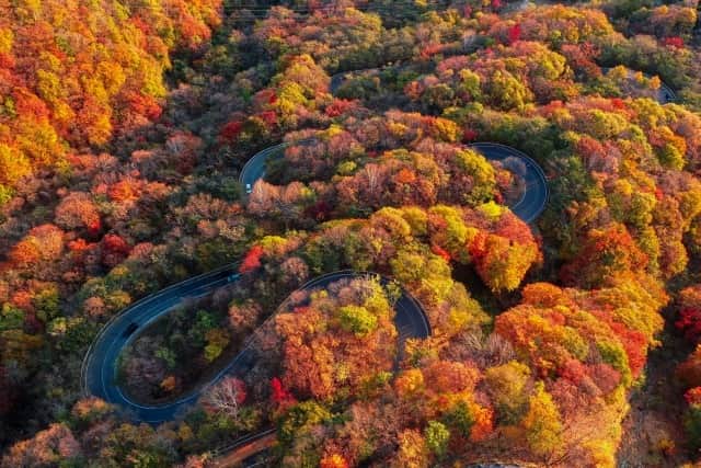 TOBU RAILWAY（東武鉄道）さんのインスタグラム写真 - (TOBU RAILWAY（東武鉄道）Instagram)「. . 📍Nikko - Irohazaka Autumn Leaves A famous sight for autumn leaves that is representative of Japan! . Irohazaka has been listed in the 100 Best Roads in Japan. Many people drive here from all over Japan during the annual autumn leaves season. Irohazaka has elevation differences of up to 400m. Being able to enjoy the gradually changing autumn leaves from the bottom of the hill to the top is one of its charms. The entire course is splendidly colored during the autumn leaves season, so you can even enjoy the expanding fallen leaves at the base of the mountain from inside your car. A perfect spot to visit during your Japan trip! Be sure to check out the beautiful fall leaves of Irohazaka! . . . . Please comment "💛" if you impressed from this post. Also saving posts is very convenient when you look again :) . . #visituslater #stayinspired #nexttripdestination . . #nikko #irohazaka #autumnleaves #recommend #japantrip #travelgram #tobujapantrip #unknownjapan #jp_gallery #visitjapan #japan_of_insta #art_of_japan #instatravel #japan #instagood #travel_japan #exoloretheworld #ig_japan #explorejapan #travelinjapan #beautifuldestinations #toburailway #japan_vacations」10月6日 18時00分 - tobu_japan_trip