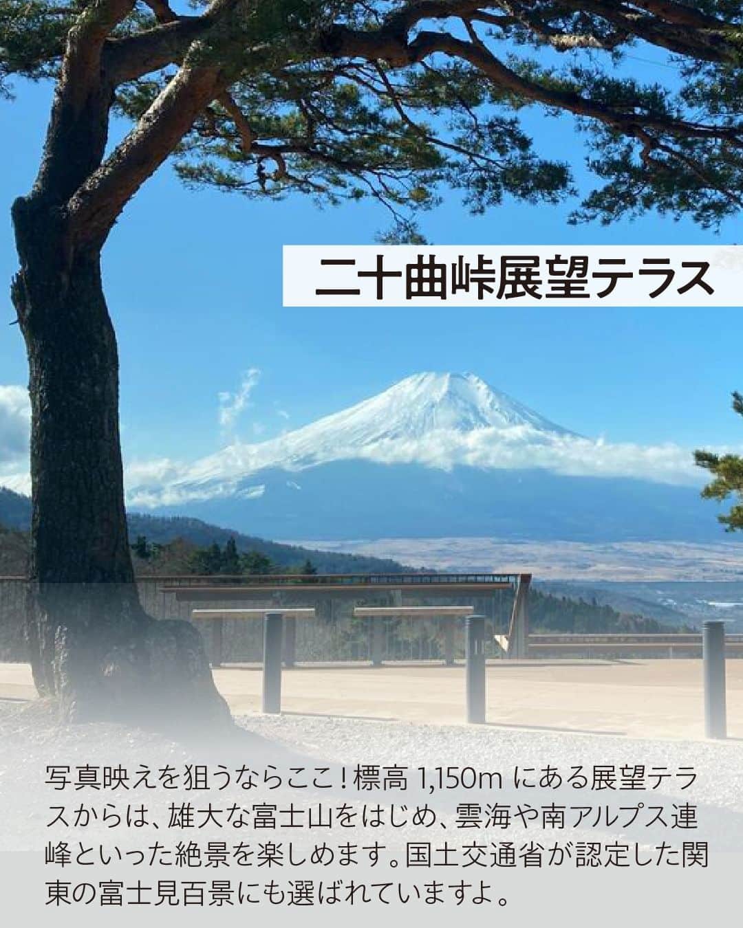 現地発信の旅行サイト「たびらい」さんのインスタグラム写真 - (現地発信の旅行サイト「たびらい」Instagram)「毎年登山者が絶えない人気の山、富士山。 その優美な姿は、日本の象徴として国内外問わず人気がありますね。 今回は、そんな富士山を一望するスポットをご紹介。 知る人ぞ知る穴場スポットもあるので、ぜひご確認ください♪  ①忍野八海 ②三島スカイウォーク ③ゆうだい温泉 ④恩賜箱根公園 ⑤二十曲峠展望テラス ⑥明神ヶ岳  ▼ほかの投稿はこちらから📷 @tabirai #富士山 #静岡 #山梨 #温泉 #忍野八海 #三島スカイウォーク #ゆうだい温泉 #恩賜箱根公園 #二十曲峠展望テラス #明神ヶ丘 #  #たびらい #たびらいホテル #tabirai #たびらいレンタカー #tabirai_trip」10月6日 18時00分 - tabirai