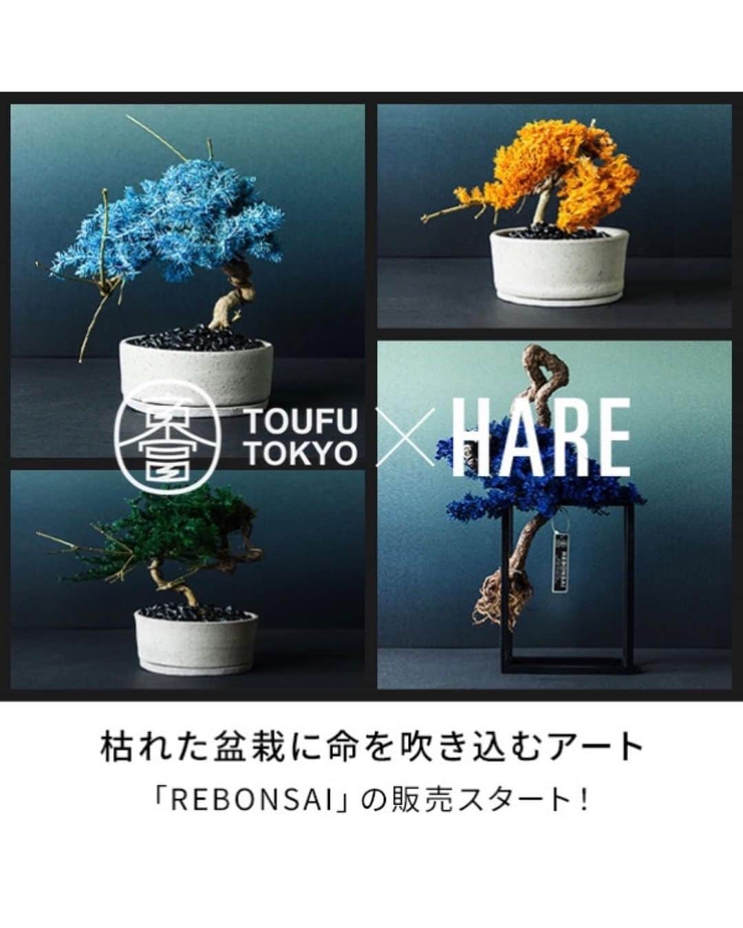 ハレさんのインスタグラム写真 - (ハレInstagram)「【RE BONSAI販売開始！】  ー テーマは『再生』 枯れてしまった盆栽に、命を吹き込む。 永遠に美しい盆栽を。  ABAUT TOUFUTOKYO 「東京から、日本一へ」 東京発、世界へ。  形や、想い、そして日本の伝統文化を過去にも未来にも、世界のどこにもないアートをつくりあげます。 @toufu.tokyo   ー  #hare#ハレ#toufutokyo#rebonsai#盆栽#bonsai#枯盆栽#re盆栽#インテリア#インテリア雑貨#日本伝統#東京#東富東京#ゆうき祥石#プリザーブド」10月6日 18時09分 - hare_official