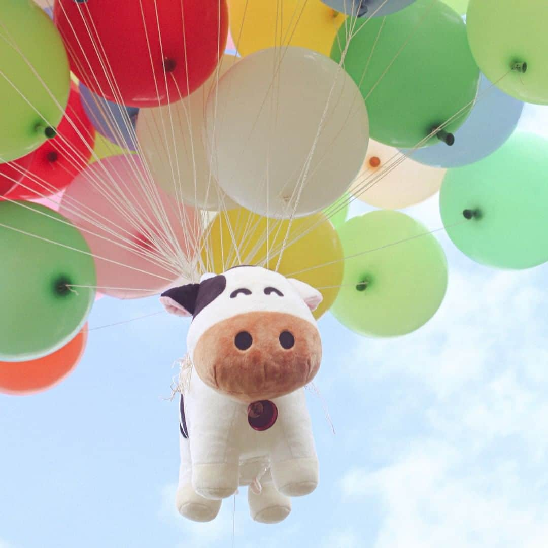 成田ゆめ牧場さんのインスタグラム写真 - (成田ゆめ牧場Instagram)「イベント開催レポ🐮🎈  「ゆめこちゃんは風船でお空を飛べるのか？！」検証イベントを開催しました💙  結果は・・・ ゆめこちゃんお空を飛びました！✨👏  開催の様子は、 成田ゆめ牧場公式YouTubeで公開しています。果たして風船何個で飛んだのでしょうか👀🎈 ぜひ動画でお確かめください♪ 【YouTube動画はこちら▼】 https://youtu.be/oZGTuRTzKMY  ゆめこちゃんは、成田ゆめ牧場のマスコットキャラクターです🐮 【ゆめこちゃんのプロフィールはこちら▼】 https://www.yumebokujo.com/?p=39131  次回ゆめこちゃんイベントもお楽しみに・・・💛！  #ゆめこちゃんイベント #検証企画 #イベント #成田ゆめ牧場」10月6日 18時13分 - yumebokujo