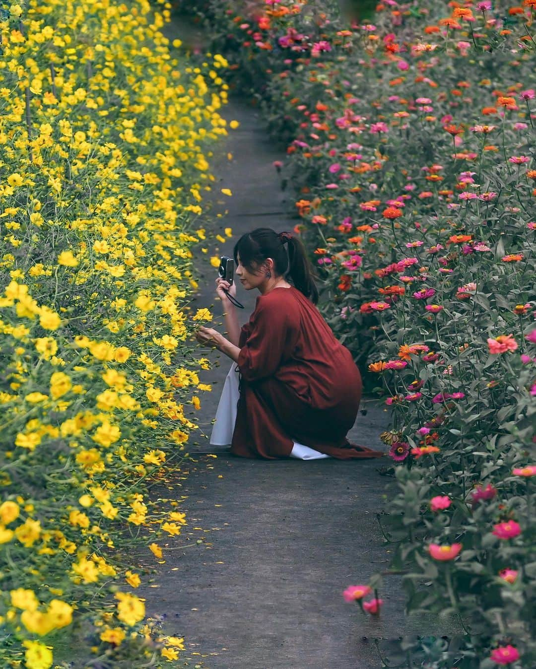 yukiのインスタグラム：「・ #キバナコスモス#キバナコスモス畑  #黄花コスモス   #僕らが見ている風景 __________________________ 日々の撮影記事やコラム更新中！ ・・・・・・・・・・・・・・・ ◉FAN限定サイト◉ https://www.fansnet.jp/sty830 __________________________」