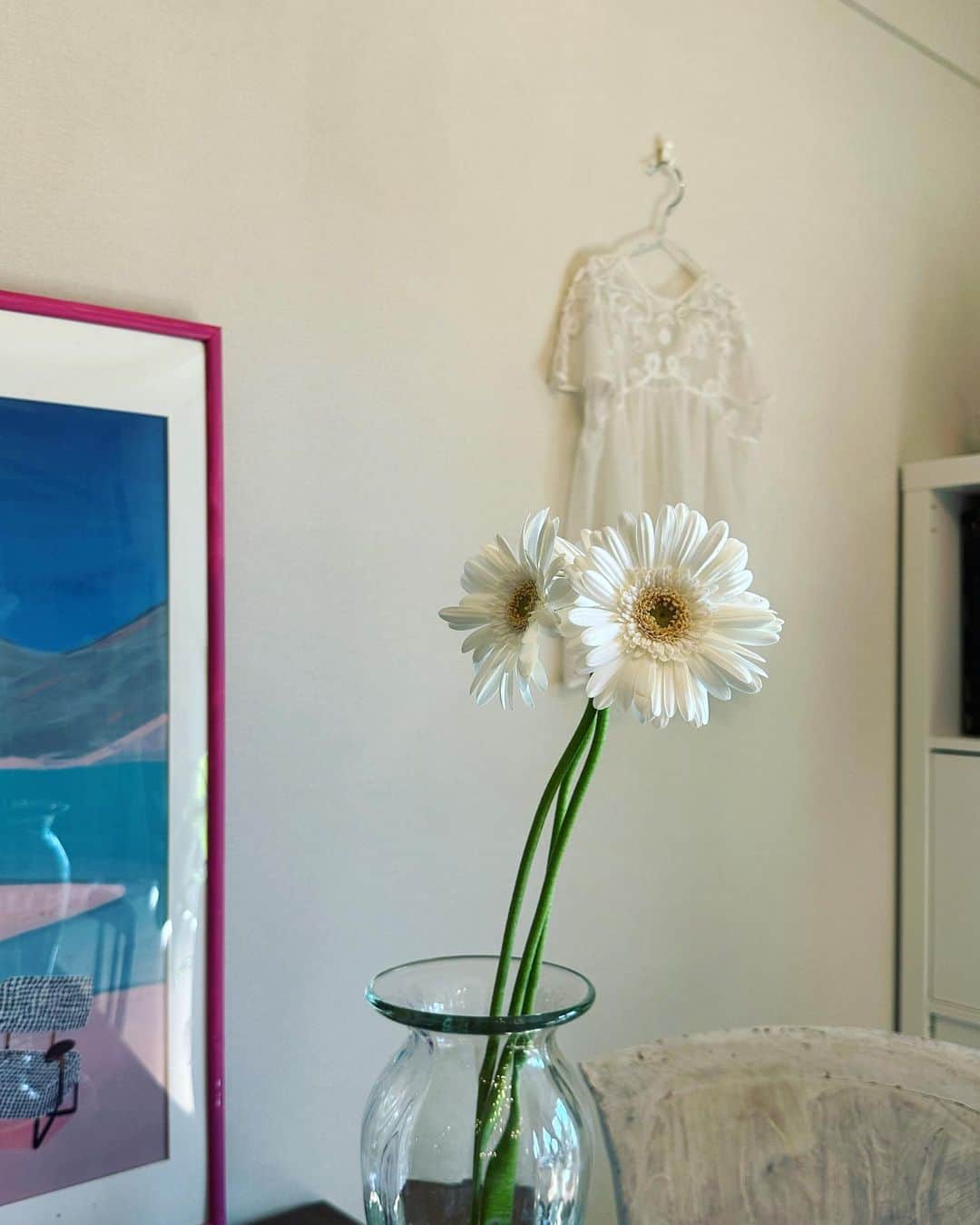 犬山紙子さんのインスタグラム写真 - (犬山紙子Instagram)「白いガーベラ買ってきた ガーベラはプレバトの色鉛筆で描いたことがあるけど、服にもアクリルで描いてみようかな  #花のある暮らし #ガーベラ　#インテリア」10月6日 18時47分 - inuyamakamiko
