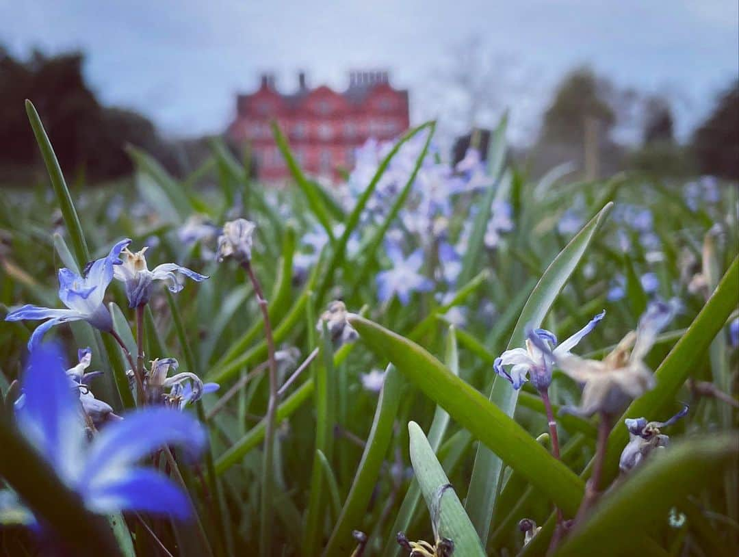 トム・ベリカさんのインスタグラム写真 - (トム・ベリカInstagram)「A simple walk can provide boundless inspiration…add a little music…build your visual toolbox. #UK #KewGardens #whitstable #thames #cornwall #gershwin」10月7日 0時31分 - tomverica