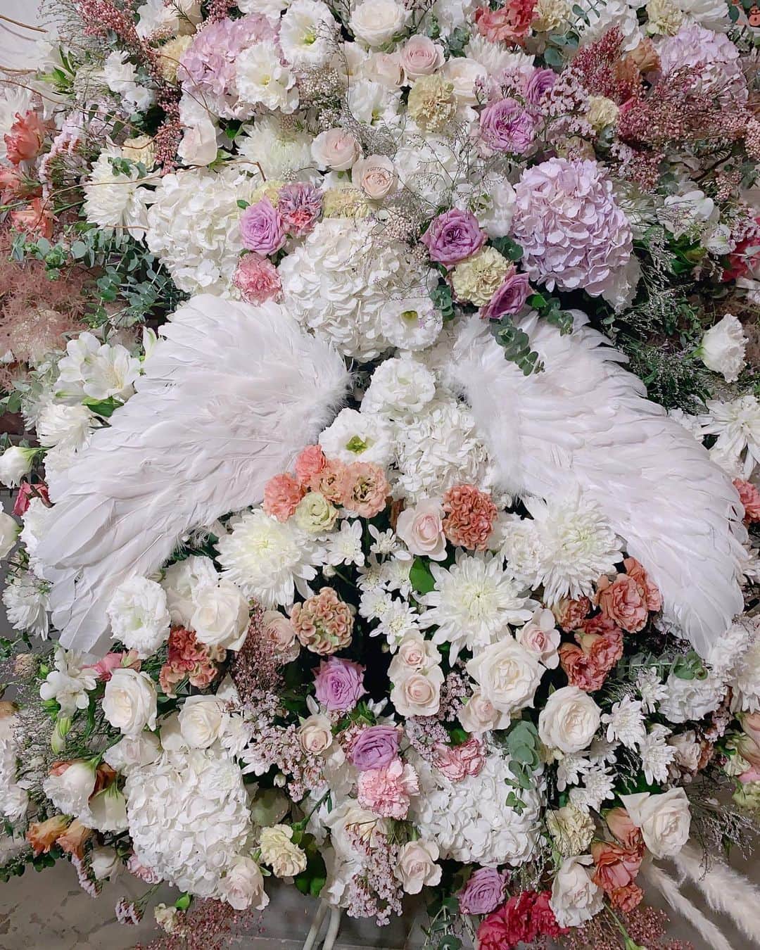 岩立沙穂さんのインスタグラム写真 - (岩立沙穂Instagram)「今年も生誕祭を開いていただきありがとうございました！🪽  今までもすごかったけれど、今年は過去一でみなさんのコールがすごすぎた！ AKBフェスティバルの時ちょっと泣きそうになっちゃいました🫢(ざわつかせちゃうと思って堪えました)  28歳の日々を振り返ると、前よりも自分らしく居られる場所が増えた気がしました。「こうしなきゃいけない」って思うことが減ったんだと思うんです。  それは自分のダメダメな所も含め、周りの人たちが受け入れて面白がってくれたから☺️  だからそんな周りの方々を大切に、自分の気持ちも大切に、日々を積み重ねていく20代最後の1年にしていきたいと思います。 .  天使の羽もありがとう🫶🏻  これでみなさんをまだ見ぬ景色まで連れて行くからね〜👼🇫🇷🍳  これからも応援よろしくお願いします☺︎ . . #岩立沙穂生誕祭2023 #天使の日」10月7日 0時26分 - saho_iwatate104