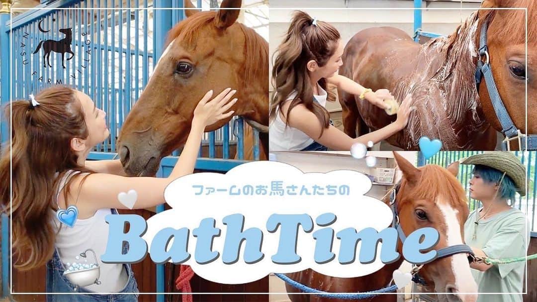 万太郎のインスタグラム：「🌼𝐒𝐚𝐞𝐂𝐡𝐚𝐧𝐧𝐞𝐥🌼　  ファームでの日常をお届け♡ 今回は万ちゃんと一緒にドリームちゃんのシャンプーをしてきたよ🐴💫🛀 ファームに来た時は会いに行ってみてね🥕  #saechannel #youtube  #紗栄子 #保護馬 #ホースセラピー #日常 #vlog #馬のシャンプー」