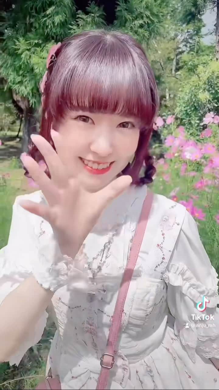のインスタグラム：「 #とよのコスモスの里  #コスモス  #京都 #ロリータ #ロリータファッション #lolita #kawaii  #lolitafashion #クラシカルロリータ #classiclolita  #永井杏樹 #アイドル #ミルハニ」