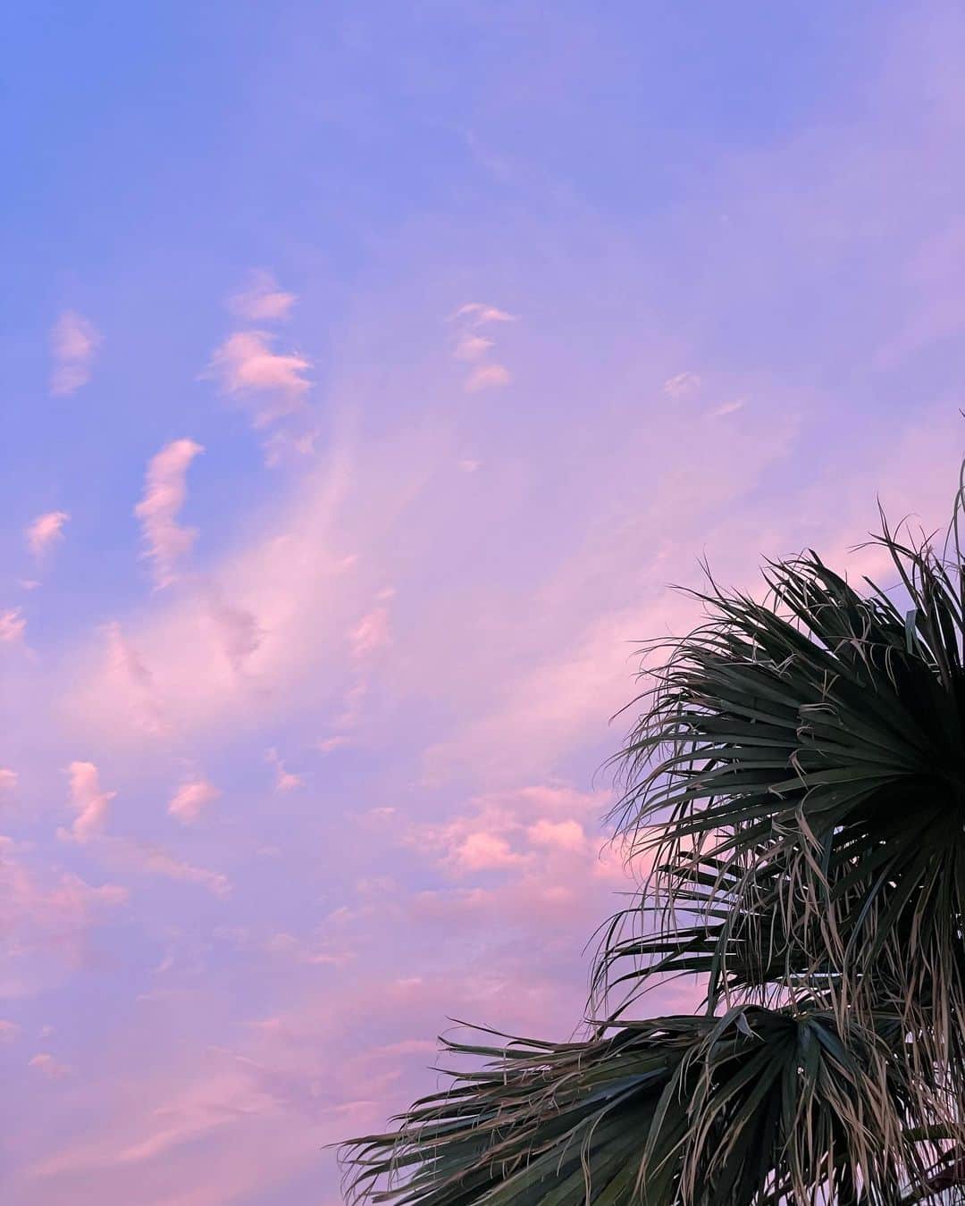 MIWAさんのインスタグラム写真 - (MIWAInstagram)「sunset series🌴🤎 ㅤㅤㅤㅤㅤㅤㅤㅤㅤㅤㅤㅤㅤ とにかくとにかくエモすぎて ずっと眺められてたあの瞬間。 ウミカジテラスでの写真🌿 ㅤㅤㅤㅤㅤㅤㅤㅤㅤㅤㅤㅤㅤ #ウミカジテラス#那覇 #okinawa#sunset」10月6日 19時11分 - miwa.matsuhashi
