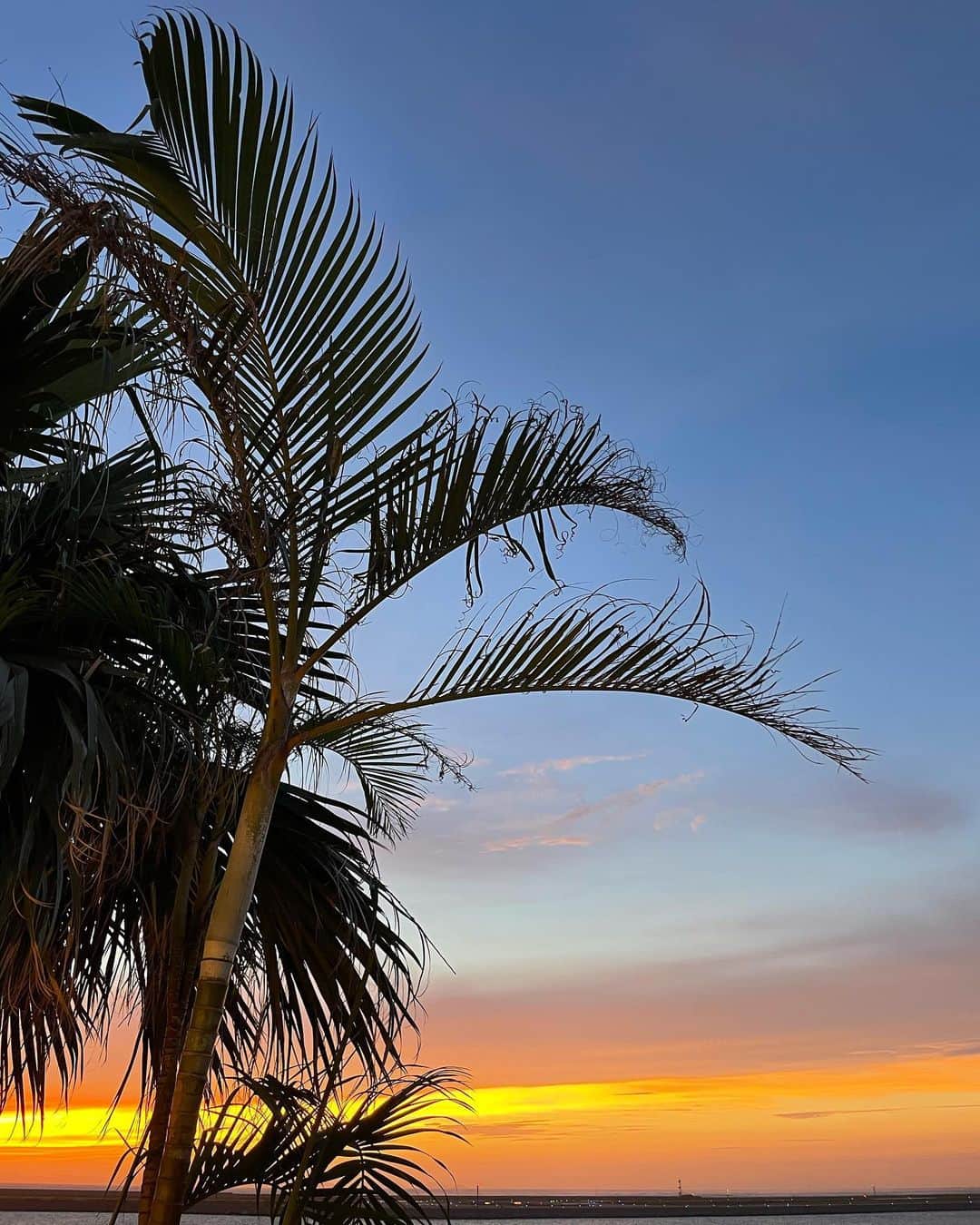 MIWAのインスタグラム：「sunset series🌴🤎 ㅤㅤㅤㅤㅤㅤㅤㅤㅤㅤㅤㅤㅤ とにかくとにかくエモすぎて ずっと眺められてたあの瞬間。 ウミカジテラスでの写真🌿 ㅤㅤㅤㅤㅤㅤㅤㅤㅤㅤㅤㅤㅤ #ウミカジテラス#那覇 #okinawa#sunset」