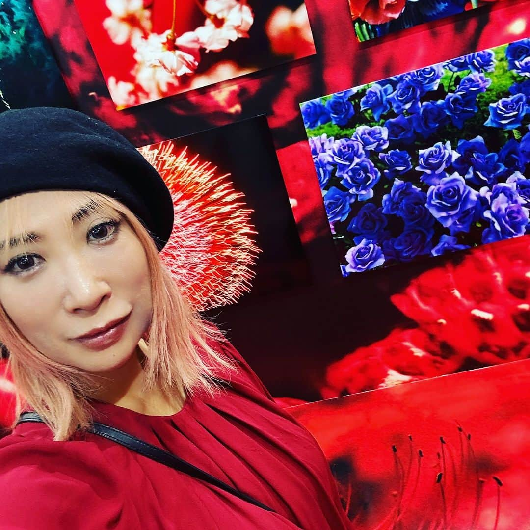 蜷川実花さんのインスタグラム写真 - (蜷川実花Instagram)「ガンダムシリーズの未来を体感できるイベント「GUNDAM NEXT FUTURE」に参加します！  皆様から集められたガンプラ使用済みランナーを使って制作した、シャア専用ザクと写真展示をあわせたインスタレーションです。  入場無料なので、ぜひ見にいらしてください❤️  ■東京会場（EAST） 日時：2023年10月6日（金）～9日（月・祝） 会場：新宿住友ビル 三角広場  ■大阪会場（WEST） 日時：2023年10月14日（土）～16日（月） 会場：グランフロント大阪  #gundam」10月6日 19時37分 - ninagawamika