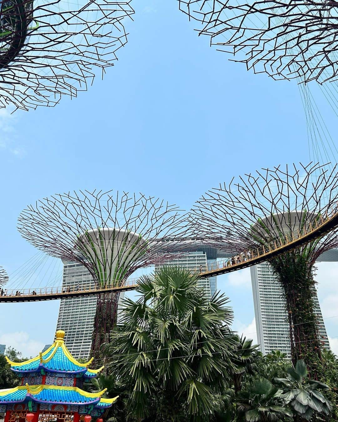 柳田菜月さんのインスタグラム写真 - (柳田菜月Instagram)「Gardens by the bay 🇸🇬 . 初めて昼間に行ったけど、昼間も迫力があって綺麗だった😆 期間限定のフェスティバルもやってて、写真撮れて大満足！！ . #シンガポール旅行 #思い出  #gardensbythebay  #singapore」10月7日 20時00分 - natsuki.3190