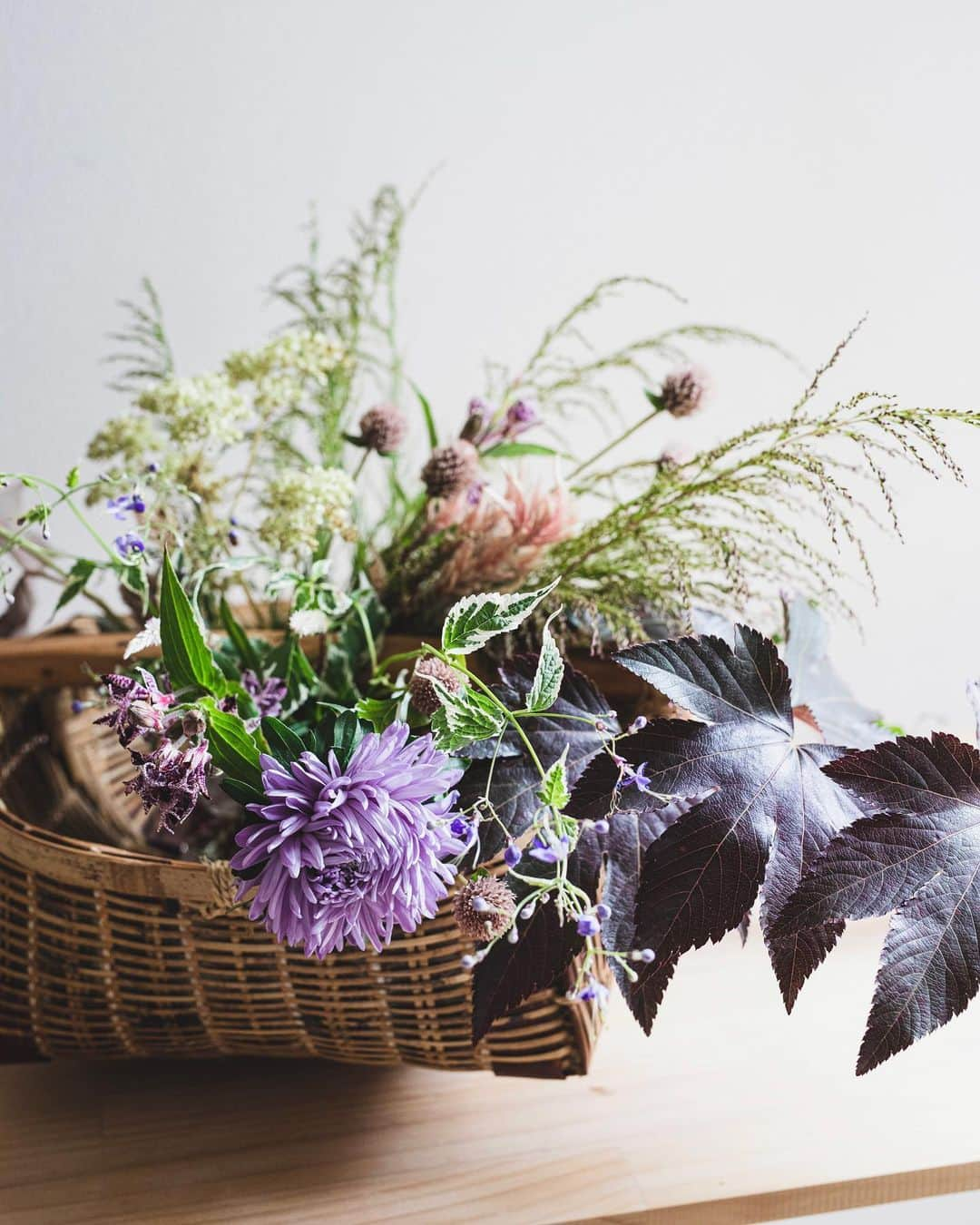 増田由希子さんのインスタグラム写真 - (増田由希子Instagram)「Autumn is in the air 🍁 #wildflowers ##autumn #autumnflowers  会津から届いた山の花、 ラベンダー色の大輪アスター、 キイチゴの紅葉、 今が最盛期のケイトウ・キリシマノアキ… 彩り豊かな秋の花が揃いました。 🍂 写真は、先月の教室の花。  🍁 NHK文化センター10月期講座、申込み受付中です。詳細は、HPをご参照ください。 #NHK文化センター町田教室」10月6日 19時44分 - nonihana_