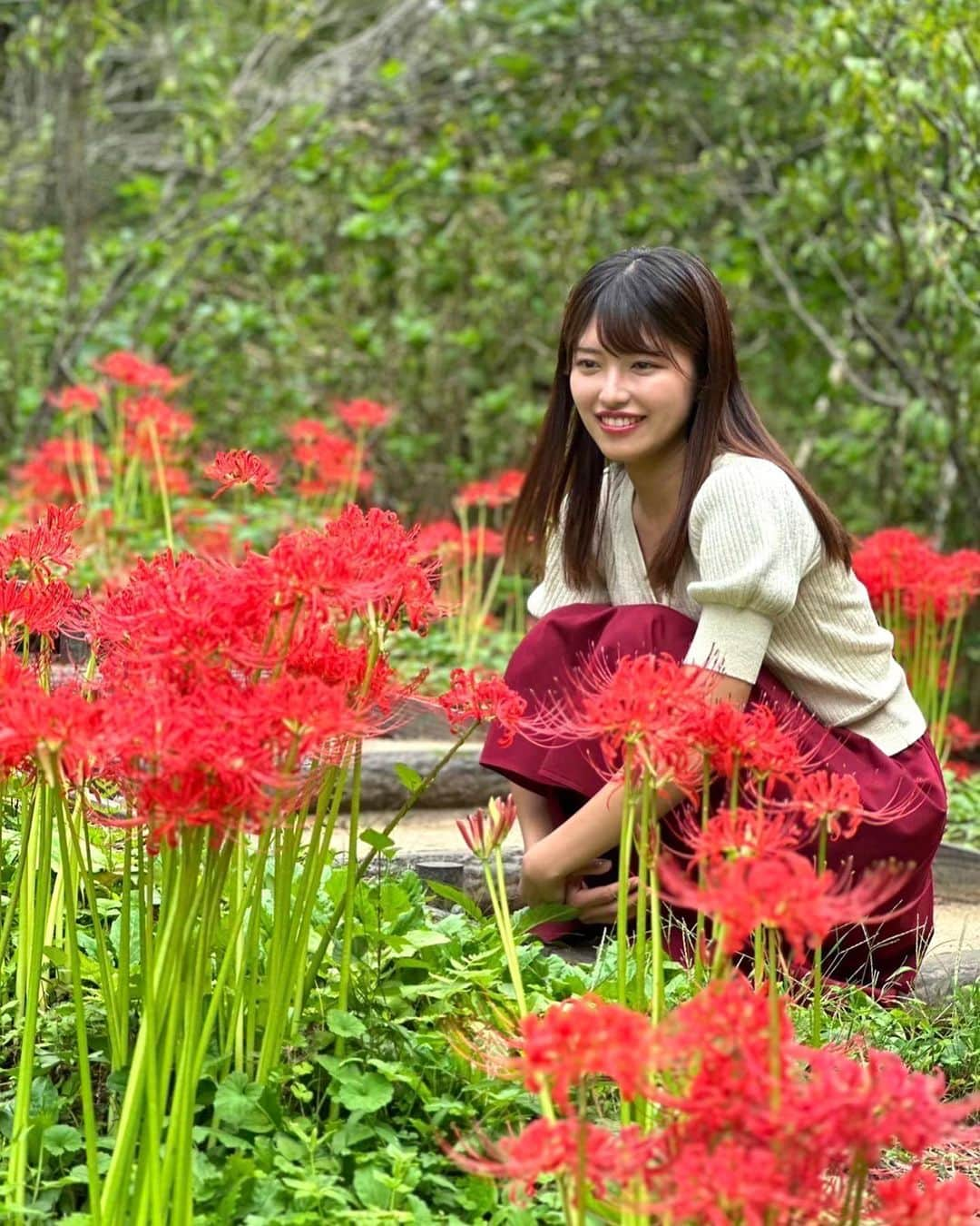 内田有香さんのインスタグラム写真 - (内田有香Instagram)「「曼珠沙華まつり」がおこなわれていた船岡城址公園へ💨  春は桜🌸 夏は紫陽花💠 そしてこの時期は彼岸花❤️‍🔥  秋田・岩手が北限なので宮城も見頃が少し遅めですね  まもなく紅葉シーズンも到来し、 あっという間に年末になりそう😳  秋を満喫できる、よい週末になりますように🍂  #レッドカーペット #船岡城址公園 #彼岸花」10月6日 20時02分 - yuuka_uchida_