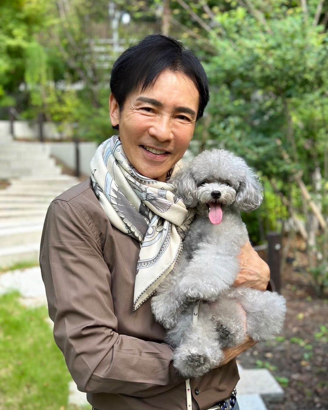 郷ひろみストールHARATAKEカシミヤストール