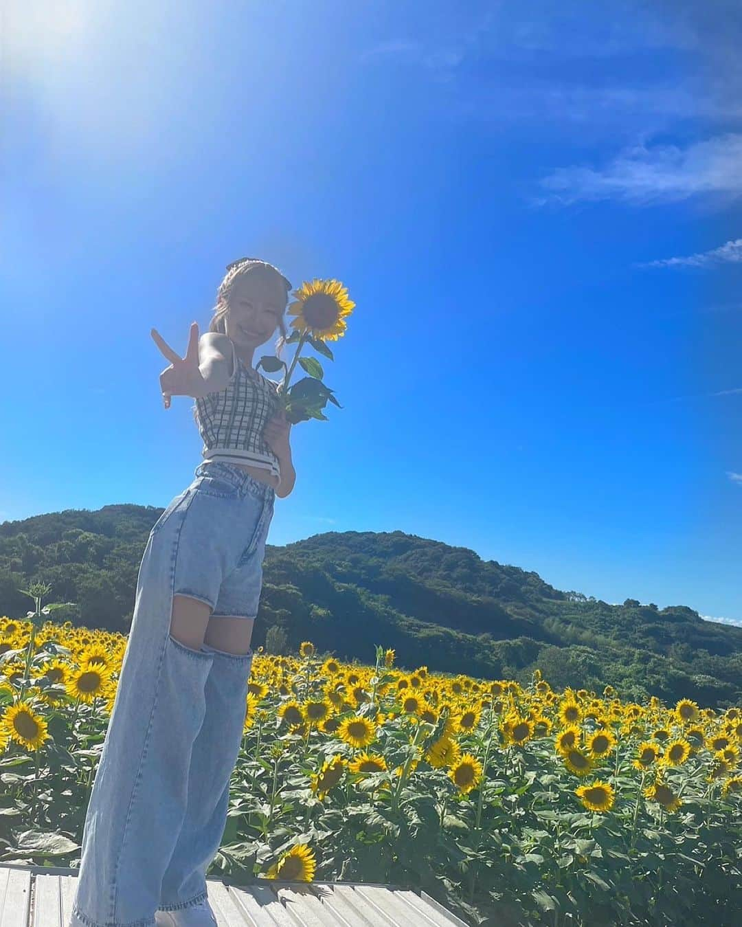 野村実代さんのインスタグラム写真 - (野村実代Instagram)「夏の思い出✌🏻🌻🤍 ⁡ ⁡ ⁡ ⁡ #南知多#観光#観光農園花ひろば#ひまわり畑 #向日葵#インスタ映え#映え#夏#ポニーテール#ハイトーン#思い出#SKE48##みよちゃんにんぎょう🌻」10月6日 20時18分 - miyomaruko_0201