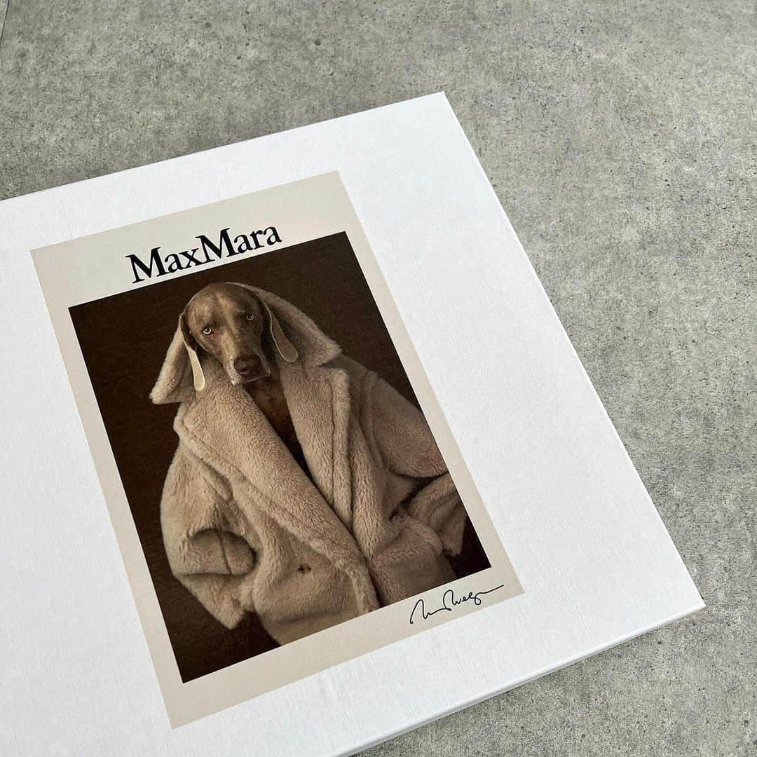 mi01ki24さんのインスタグラム写真 - (mi01ki24Instagram)「@maxmara  夏に使えたコットンTシャツ🐶 秋バージョン追加🫶 * わんこが着てるテディ欲しいな🤎 * t-shirt… @maxmara  stole… @rnyroom21   bag/boots… @jimmychoo」10月6日 20時15分 - _miki0124_