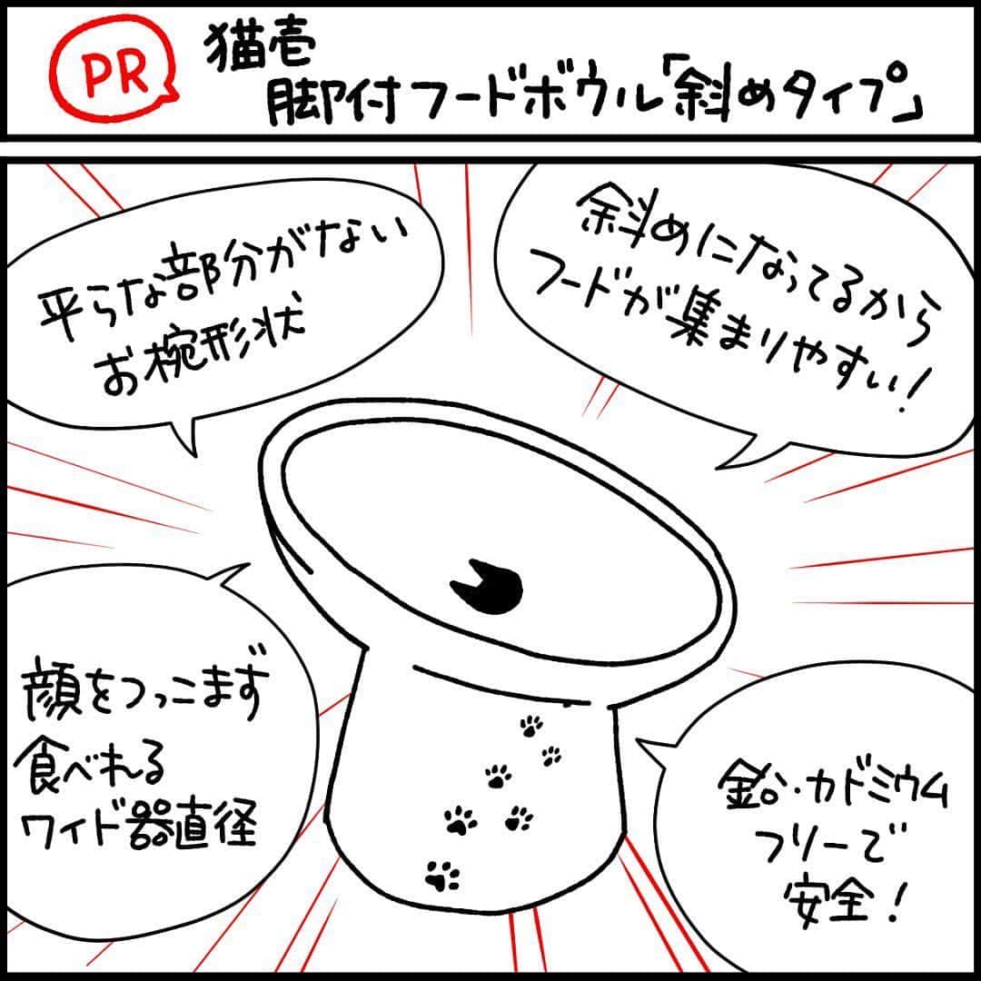 猫壱（ねこいち•ネコイチ）のインスタグラム
