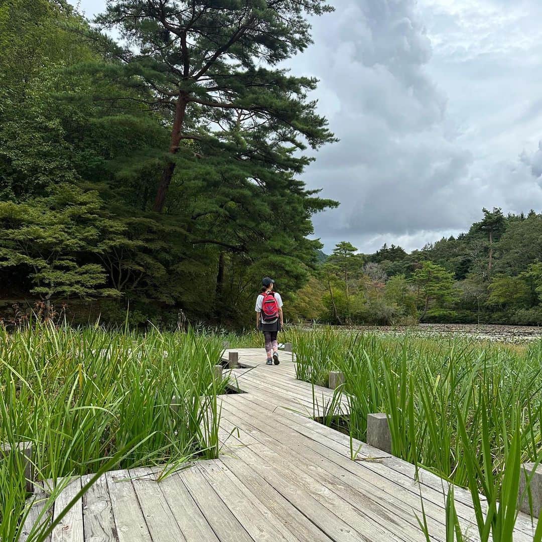 あだち理絵子さんのインスタグラム写真 - (あだち理絵子Instagram)「#トゥエンティクロス  #摩耶山頂　はいつでもいけるやろう、と  #神戸市立森林植物園 東門に  300円投入して  #ハス池  これ花の季節たまらんやろな。  #コスモス　が見頃だから 多目的広場まで歩いたけど そんな群生ではない。  #メタセコイヤ　も見て。  ここからバスも考えたけど 北鈴蘭台は不便かな、と 更に歩くことに。  車道に沿って歩きやすい林道があり 弓削牧場を発見したから 寄り道して休憩して再び林道へ。  また川をクロスできたよ。  #谷上駅　で #おつかれ山  12キロあったけど 勾配が少ないから しんどくはないハイクだった。  9月22日のハナシやけどな😆  #運動大事 #アンチエイジング #体力作り #アラフィフ #山ガール #花おばさん #六甲山」10月6日 20時33分 - adachi.rieko