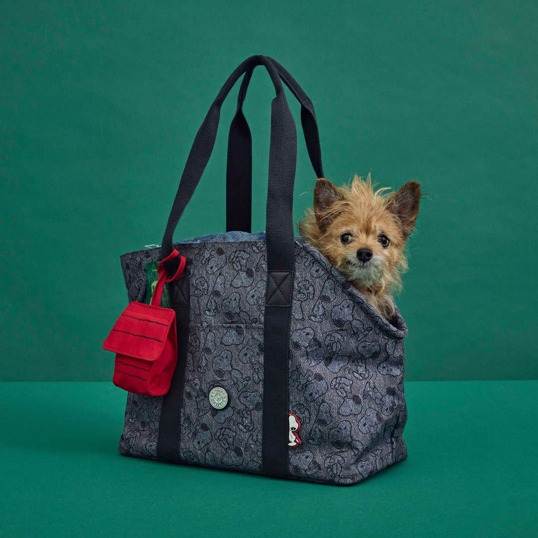 キプリングのインスタグラム：「Our ART Pet tote, now featuring the cutest denim-like Snoopy print! Bring your pet along for an adventure with the Kipling x Peanuts ART Pet bag that includes a waste bag holder and waterproof interior mat for your furry friends' comfort like @horton_hoo 🐕   #LiveLight #KiplingxPeanuts #Snoopy #Peanuts #NeverWithoutMyKipling」