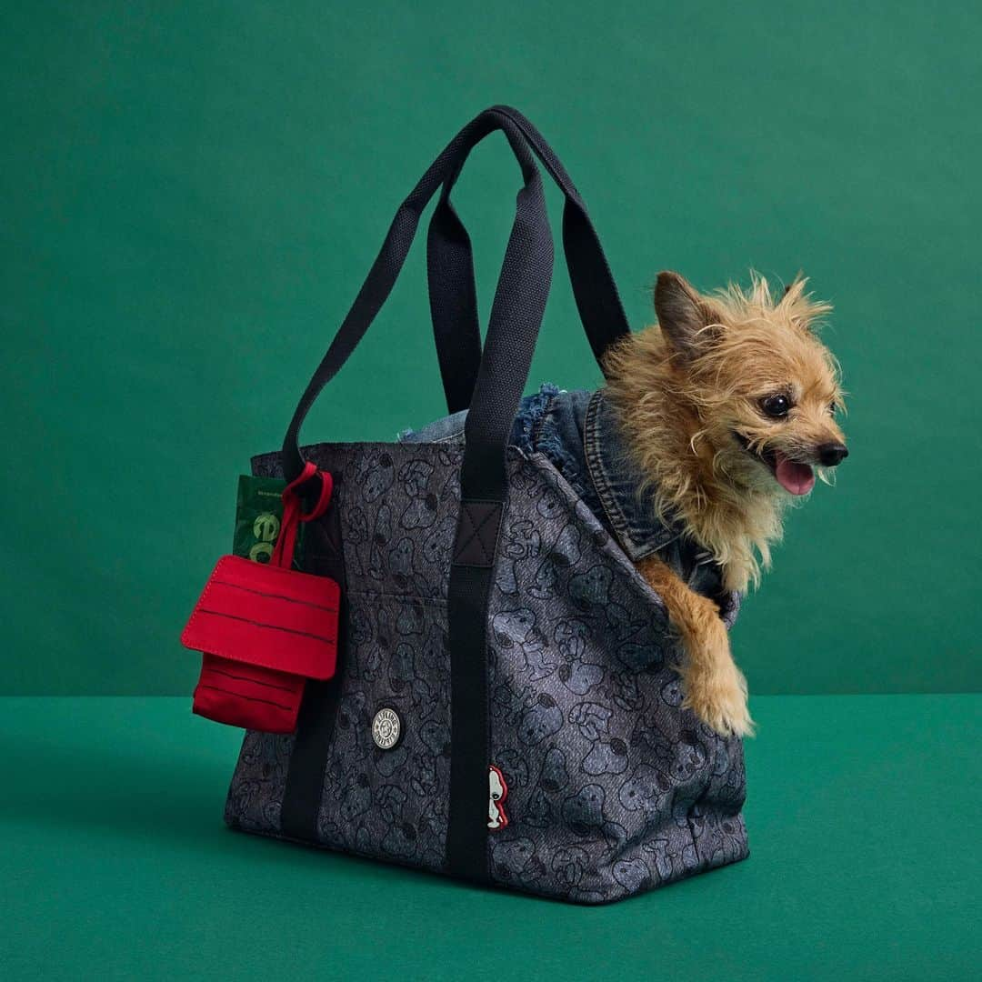 キプリングさんのインスタグラム写真 - (キプリングInstagram)「Our ART Pet tote, now featuring the cutest denim-like Snoopy print! Bring your pet along for an adventure with the Kipling x Peanuts ART Pet bag that includes a waste bag holder and waterproof interior mat for your furry friends' comfort like @horton_hoo 🐕   #LiveLight #KiplingxPeanuts #Snoopy #Peanuts #NeverWithoutMyKipling」10月6日 21時03分 - kiplingusa