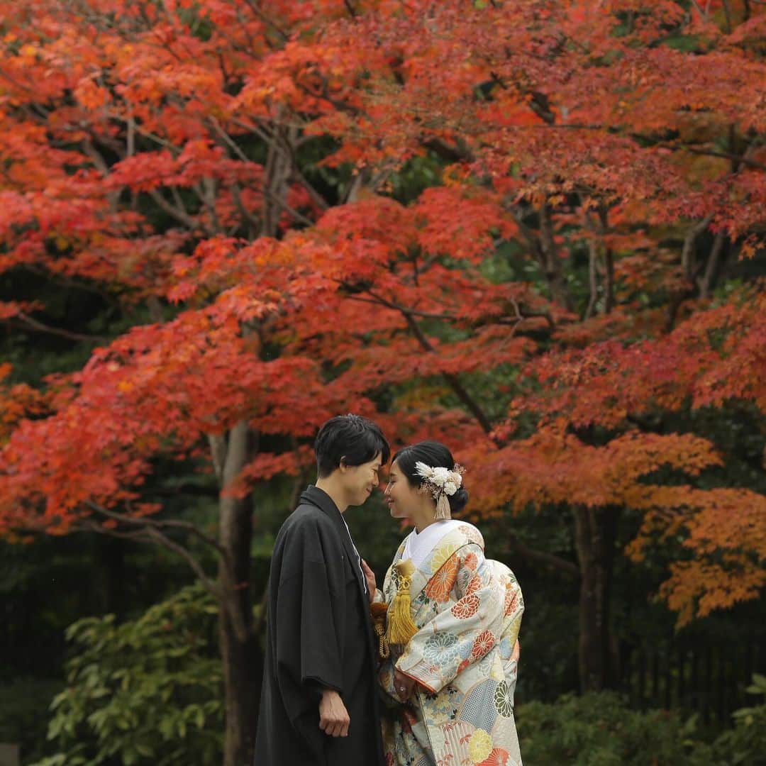 studioTVB梅田店のインスタグラム：「紅葉シーズン予約受付中‼️ 空きわずかとなってきました。 今年の秋撮影をお考えの方はお早めに★  10/7~9の期間限定 秋のブライダルフェア🍄🍁を開催！！  当日予約も可能‼️ 是非ご来店お待ちしております✨🙌  photo: @kei.deco.ph  ・ ・ ・ ・ ・  @studiotvb_umeda @decollte_weddingphoto @d_weddingphoto_jp ・ ・ ・ 共に働くフォトグラファー・ヘアメイク・プランナ 募集中です。 @decollte_recruit ・ ・ ・ #撮る結婚式 ＃デコルテフォト ＃スタジオTVB #studiotvb ＃スタジオTVB梅田 #studiotvb梅田 #ウェディングフォト #フォトウェディング #ナチュラルウェディング ＃ドレス試着 #エンゲージメントフォト #前撮り #大阪前撮り #関西プレ花嫁 #和装前撮り #洋装前撮り ＃プレ花嫁 #おしゃれ花嫁 #結婚式準備 #全国のプレ花嫁さんと繋がりたい #プレ花嫁さんと繋がりたい #日本中のプレ花嫁さんと繋がりたい #幸せな瞬間をもっと世界に #cherish_photo_days #2023冬婚 #2023秋婚  #紅葉🍁   #紅葉   #紅葉シーズン」