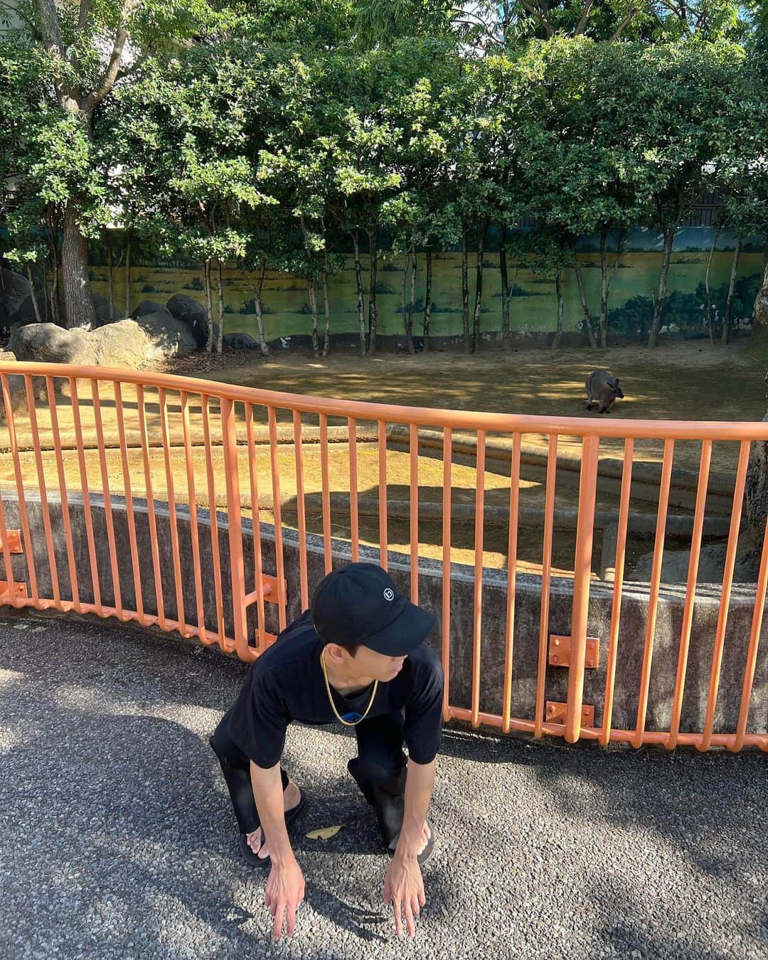 泉澤祐希さんのインスタグラム写真 - (泉澤祐希Instagram)「動物園で馴染んで来ました。」10月6日 21時24分 - yuki.izumisawa