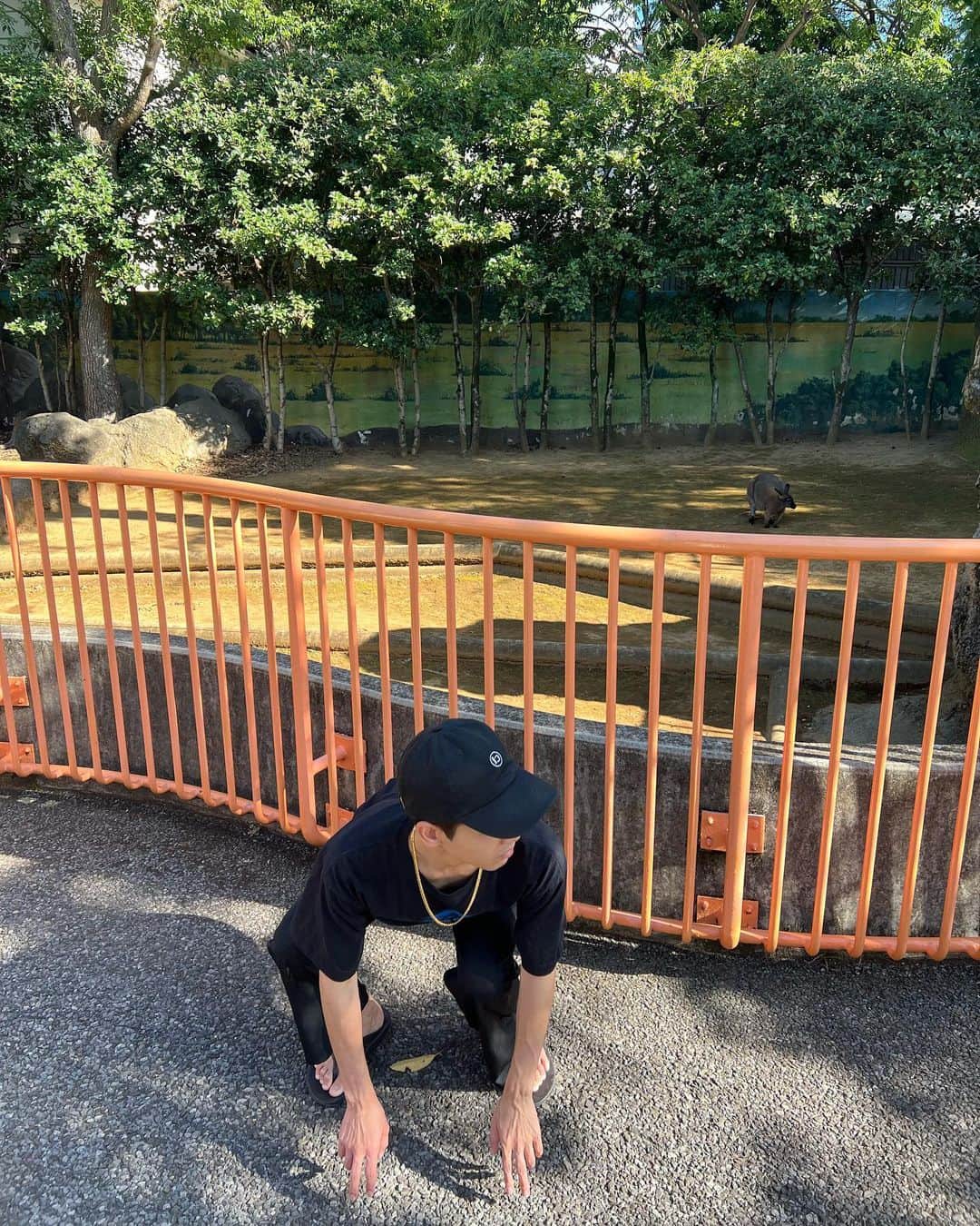 泉澤祐希のインスタグラム：「動物園で馴染んで来ました。」